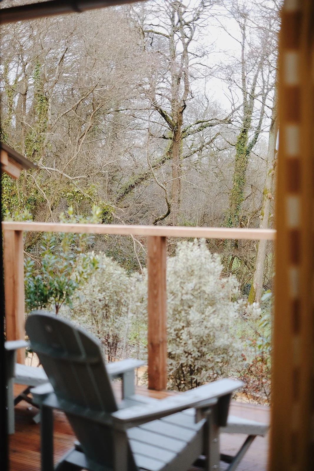 Glebe House Dec 25 - 480 of 534.jpg