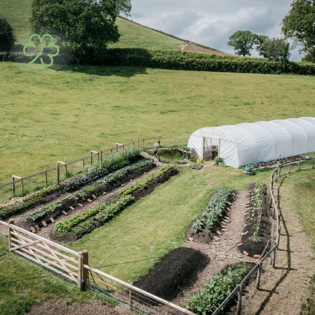 farm-to-table-restaurant-in-countryside-Devon-UK.jpg