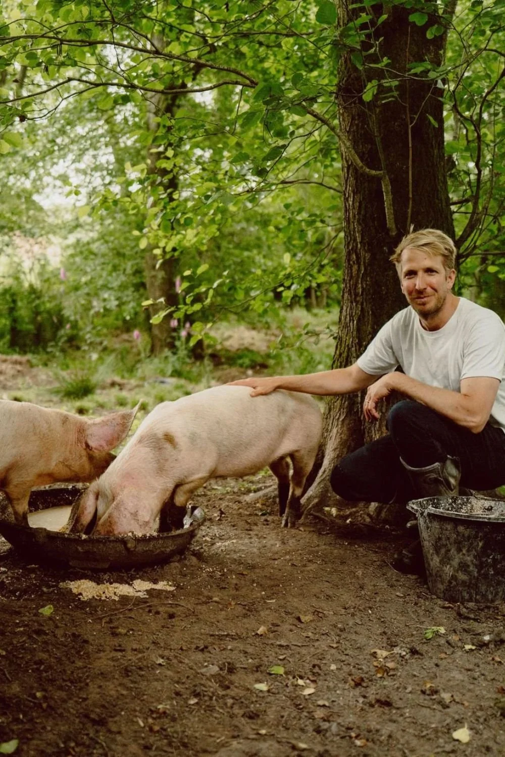 owned-and-raised-lop-pigs-for-farm-to-table-Michelin-star-restaurant.jpg