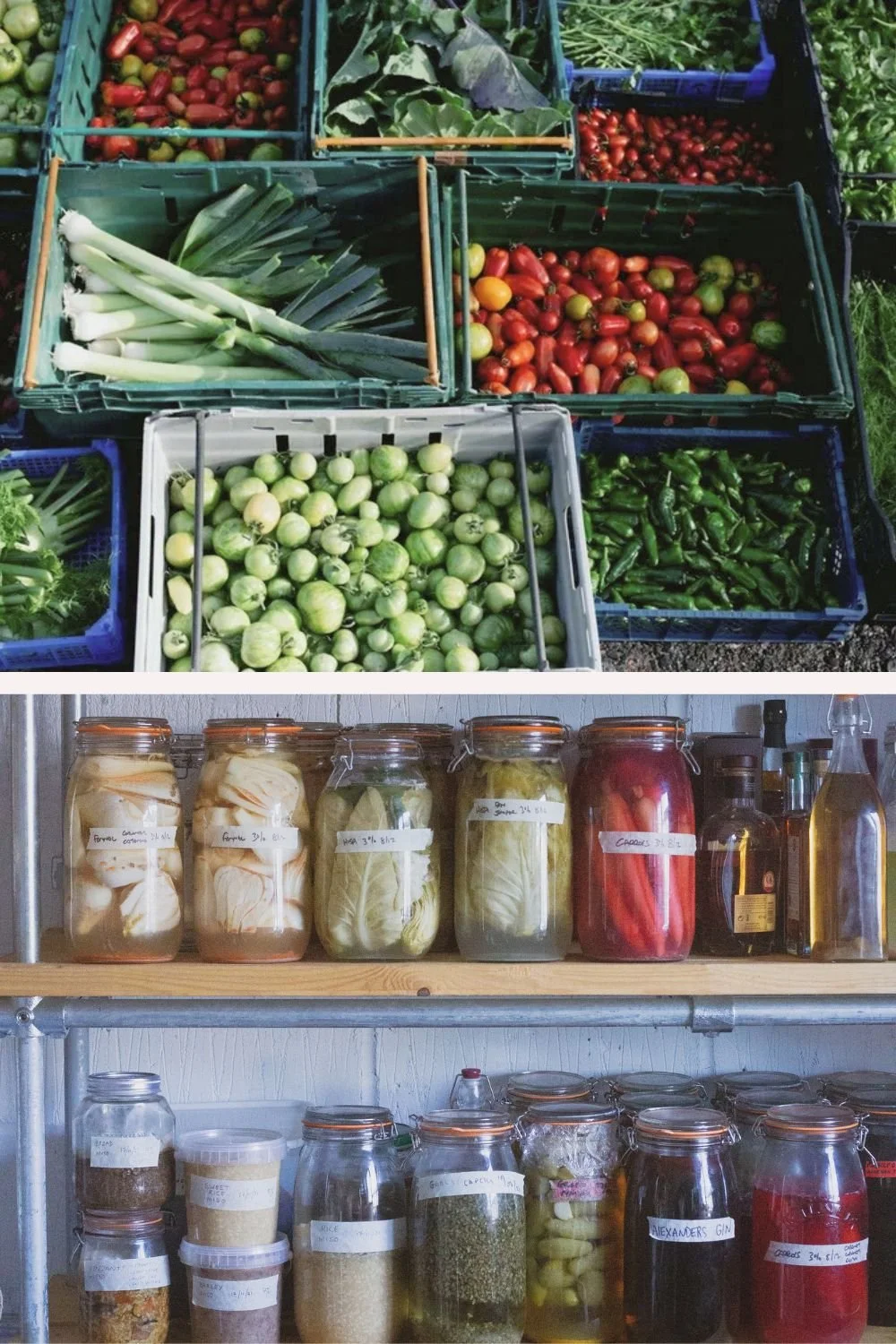 organic-vegetables-and-fermented-products-for-cooking-from-michelin-star-restaurant-in-Devon.jpg