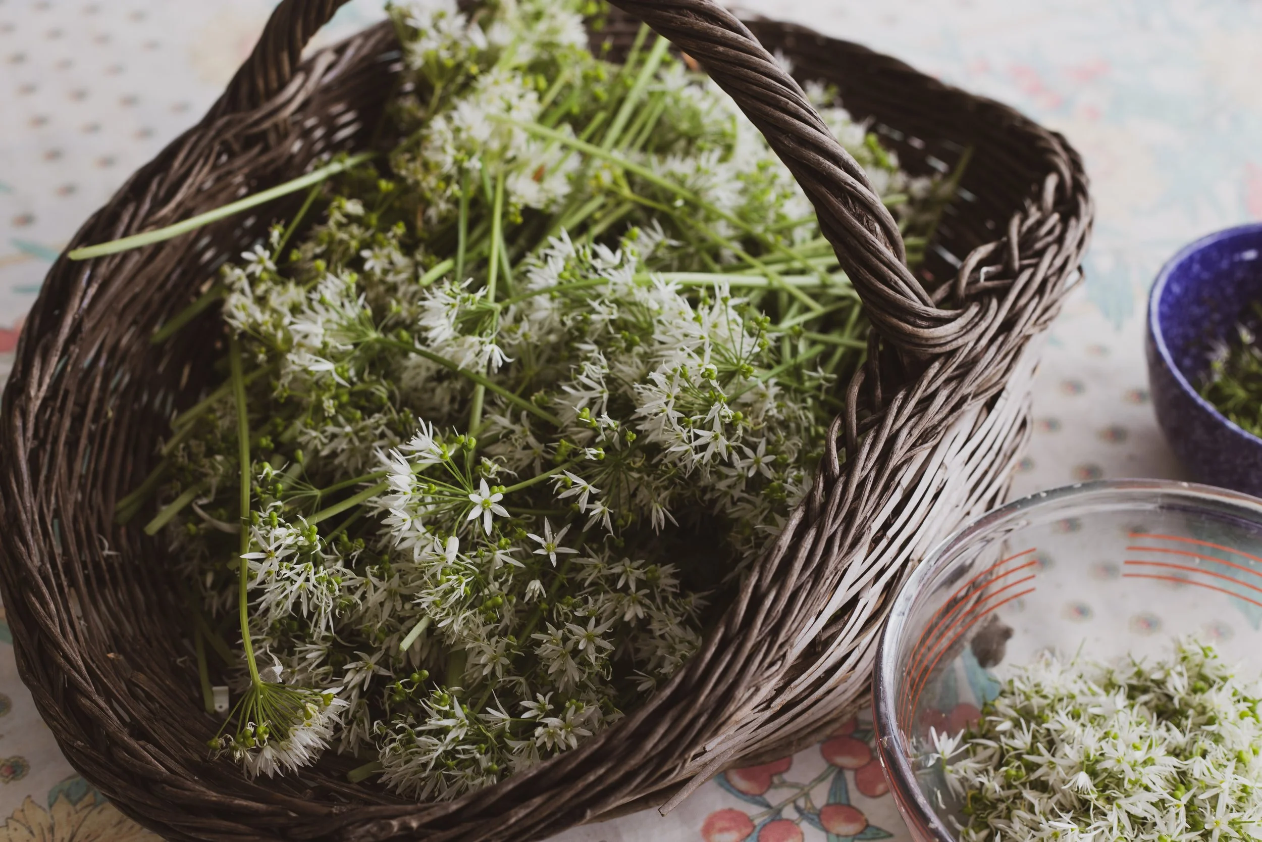 Wild Garlic and its Many Possibilities