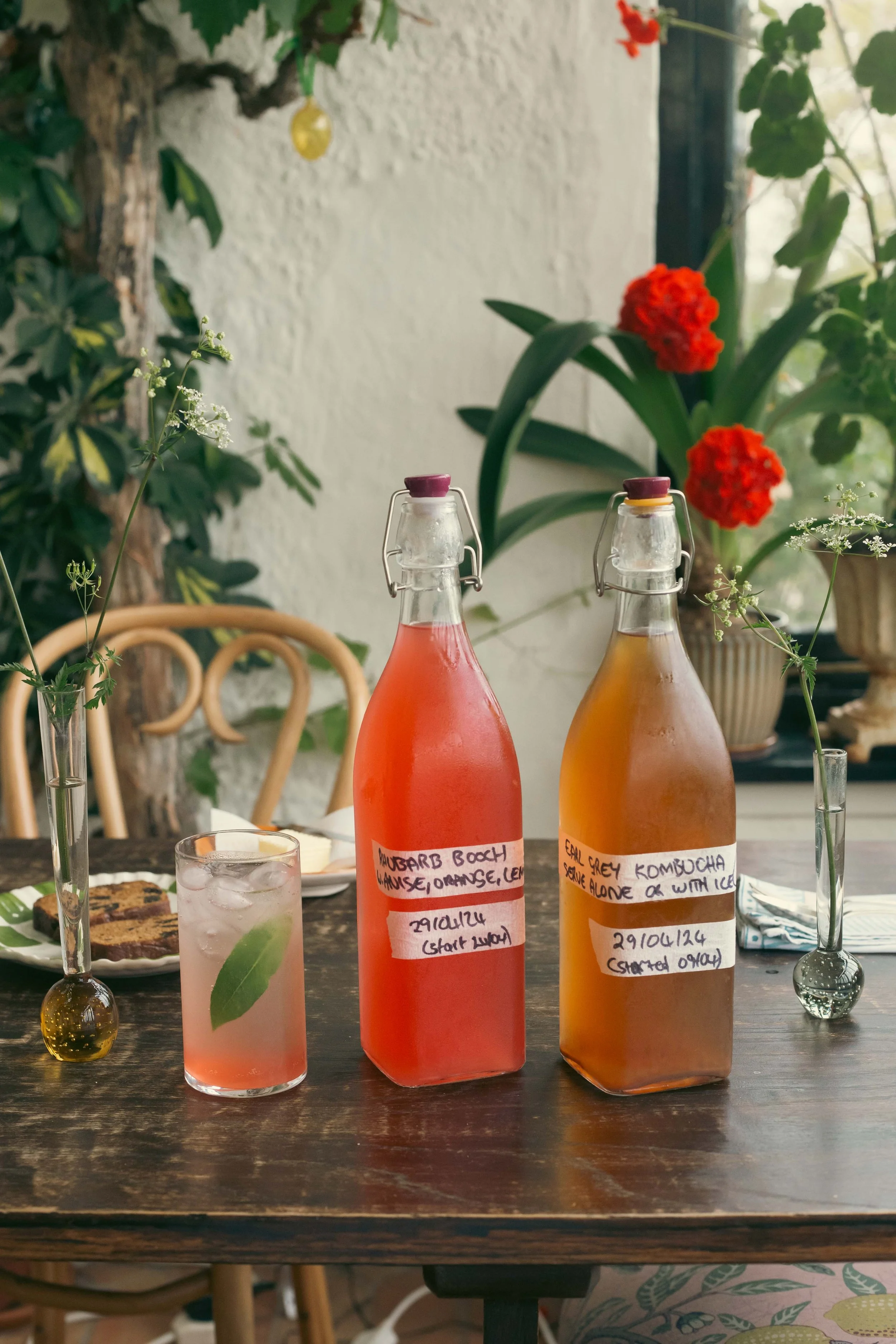 Introduction to Kombucha Workshop