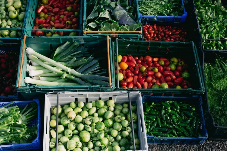 Baskets of fresh vegetables including tomatoes, green onions, jalapeños, and other greens at a market stand.