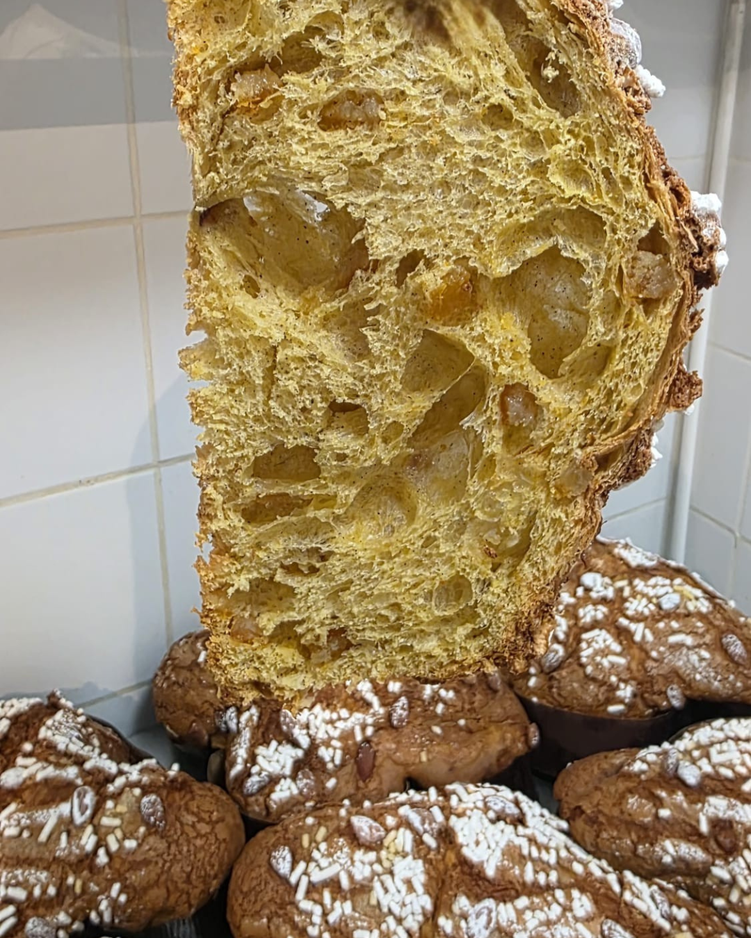 giorgio-derme-panettone-interior-crumb-close-up.png