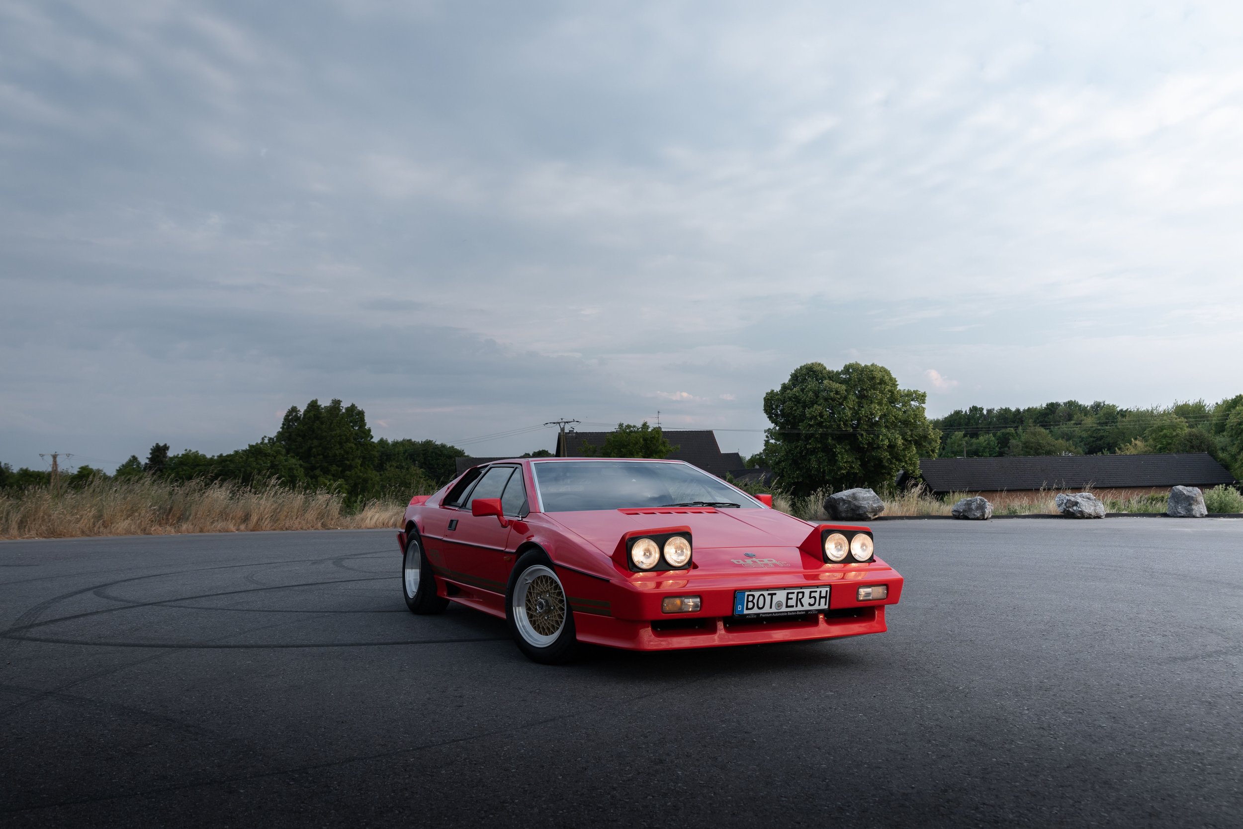 Lotus-26.jpg