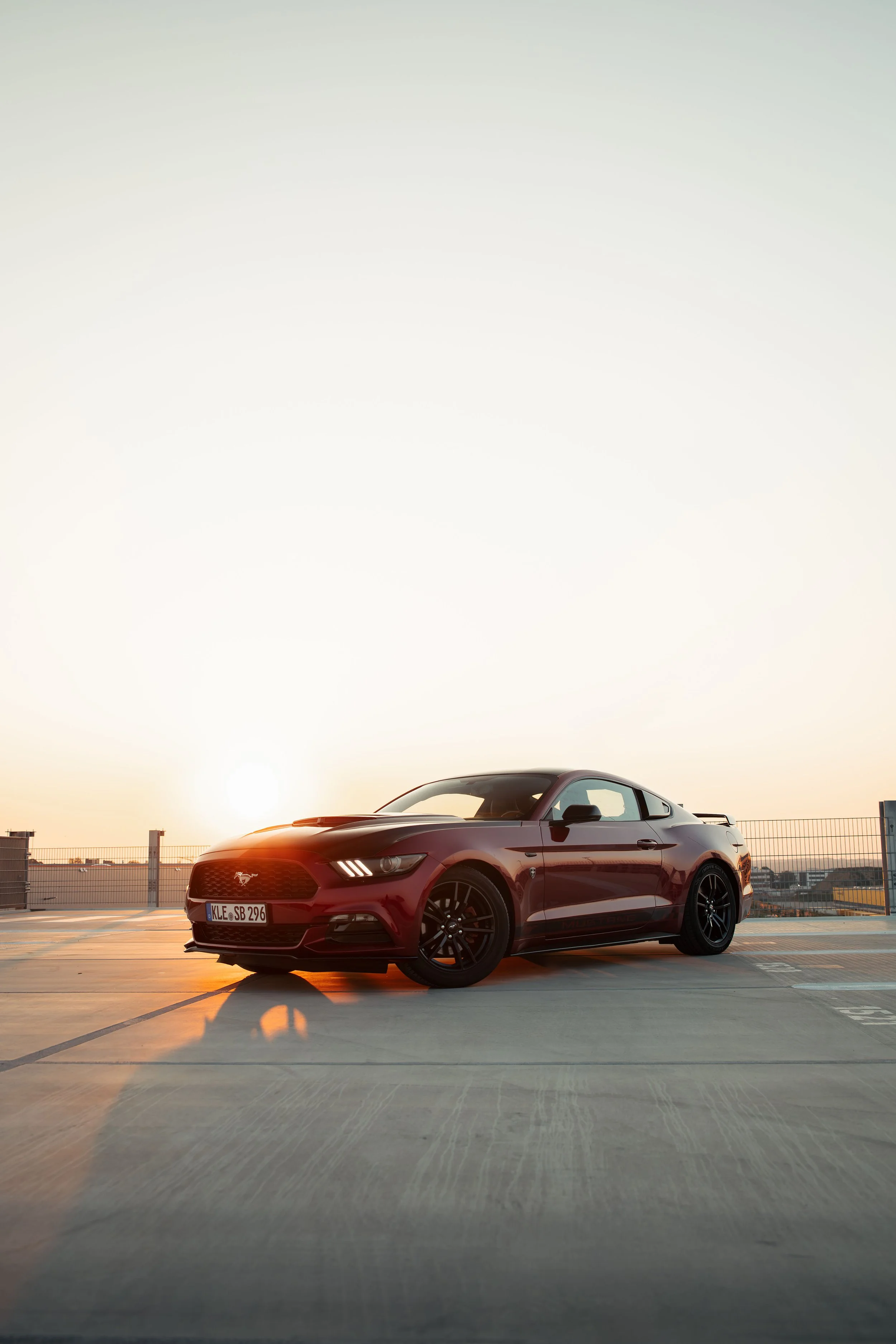 Mustang -3.jpg