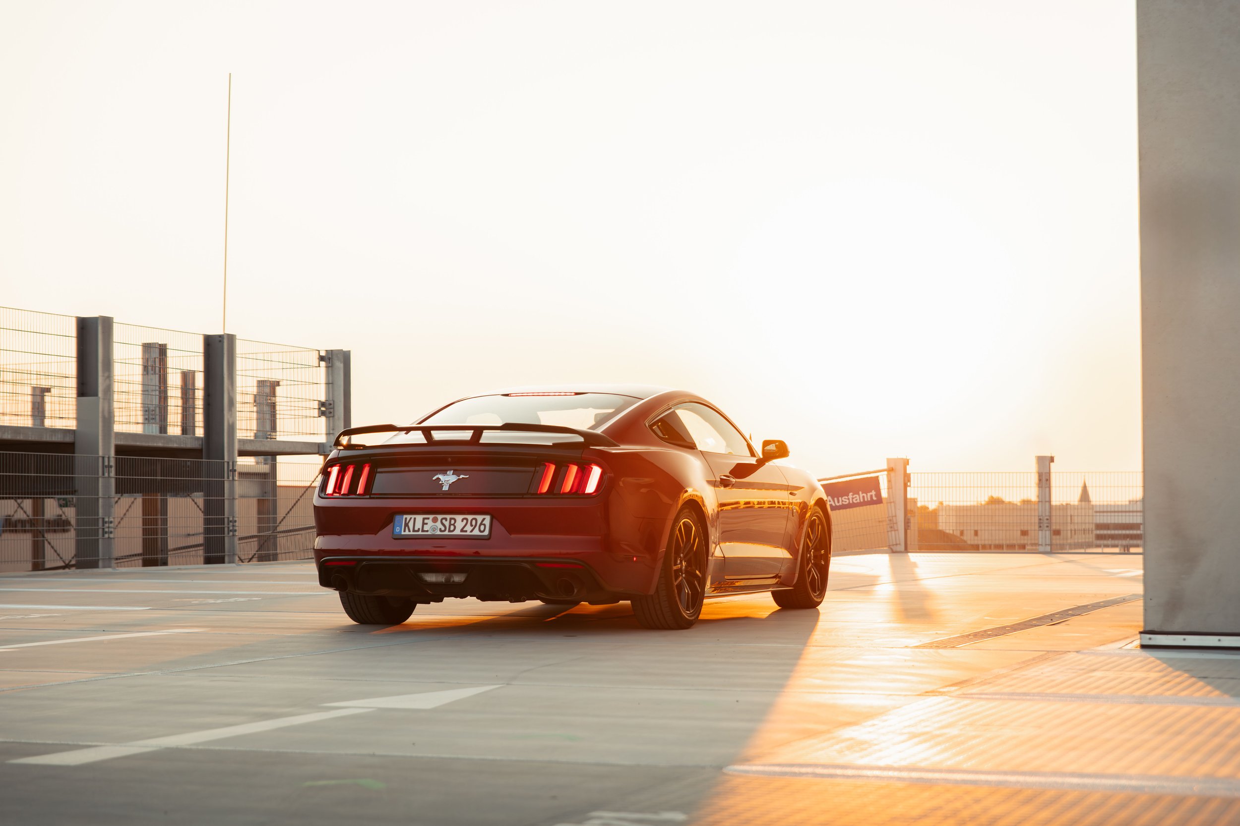 Mustang -5.jpg