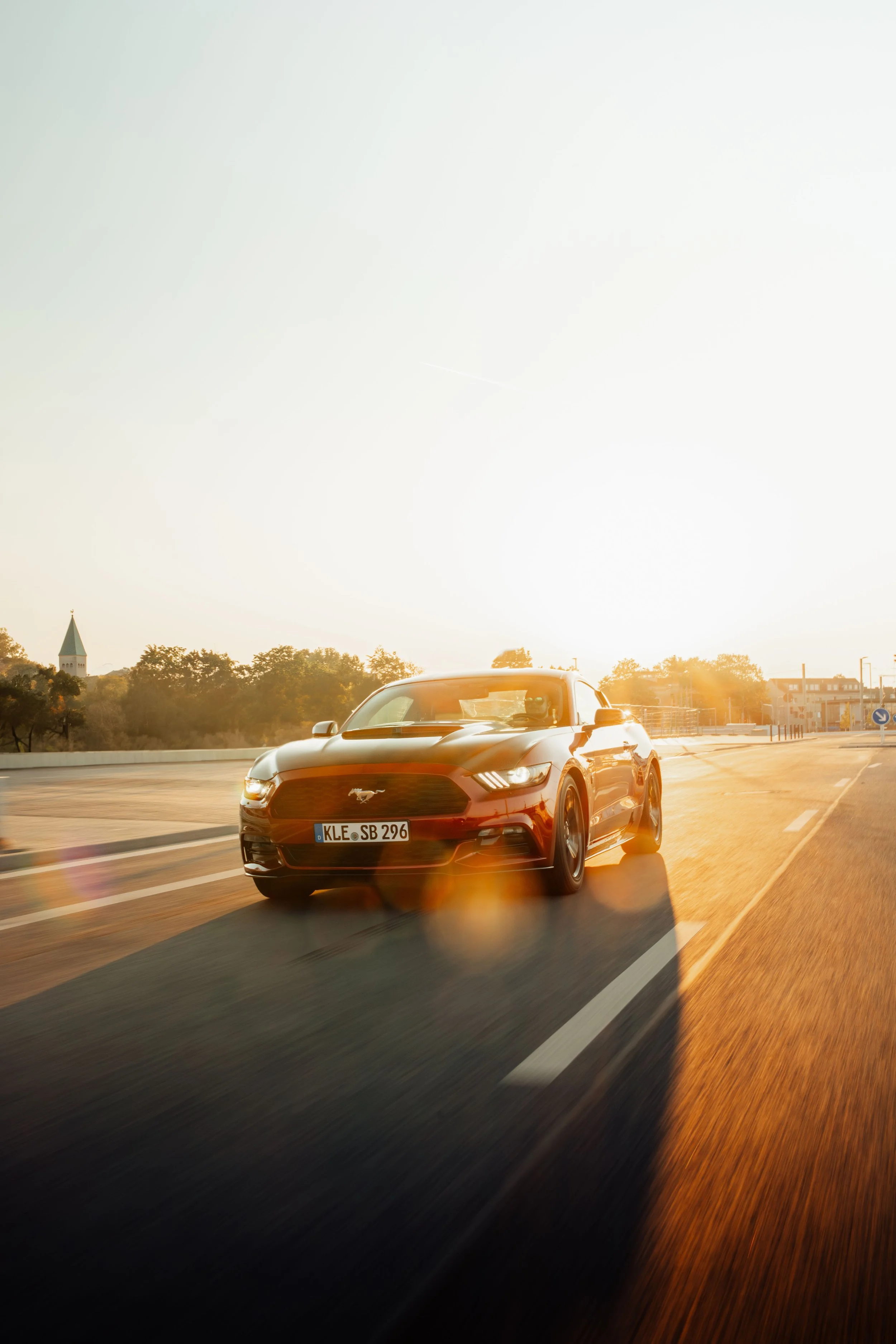 Mustang -9.jpg