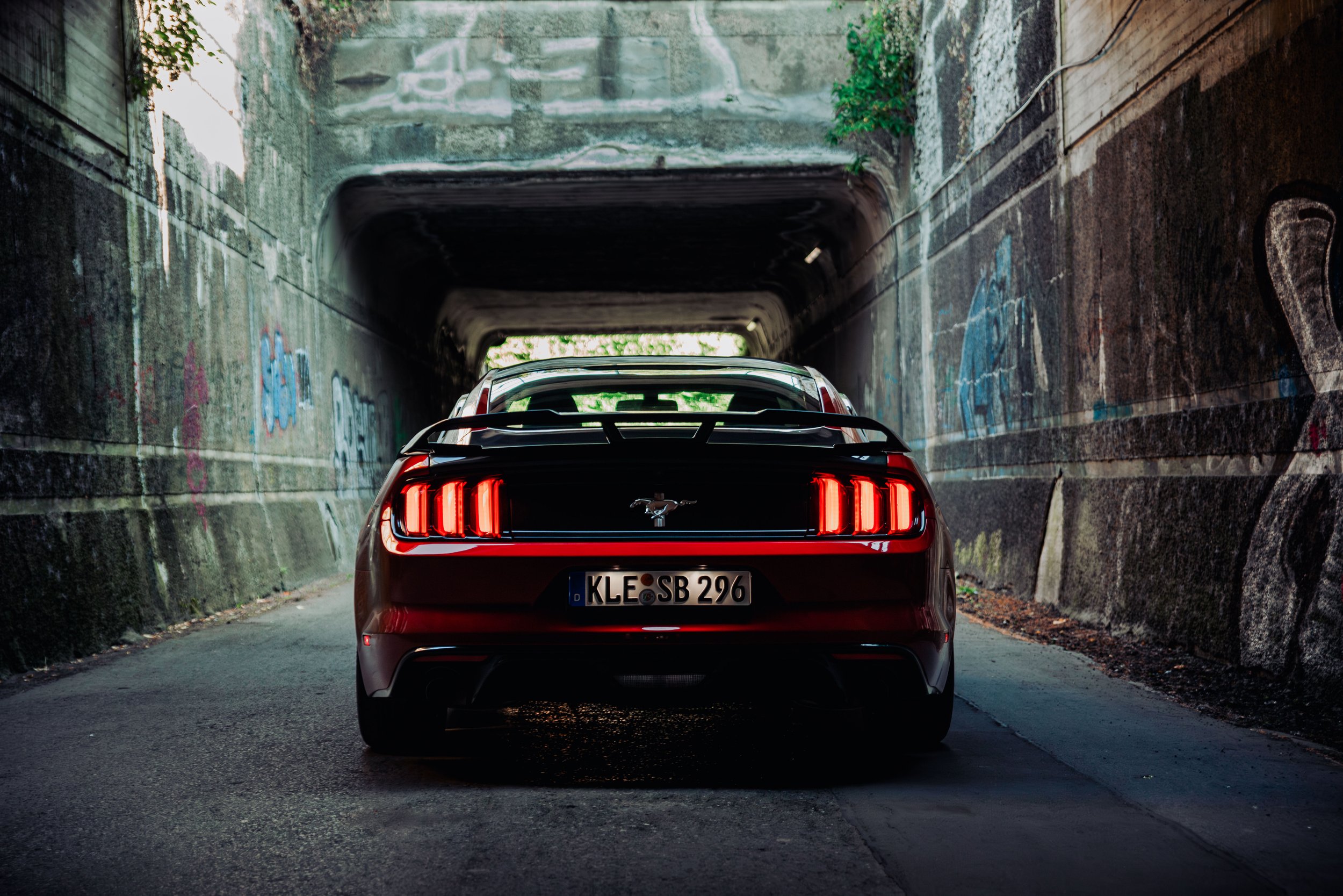 Mustang -22.jpg