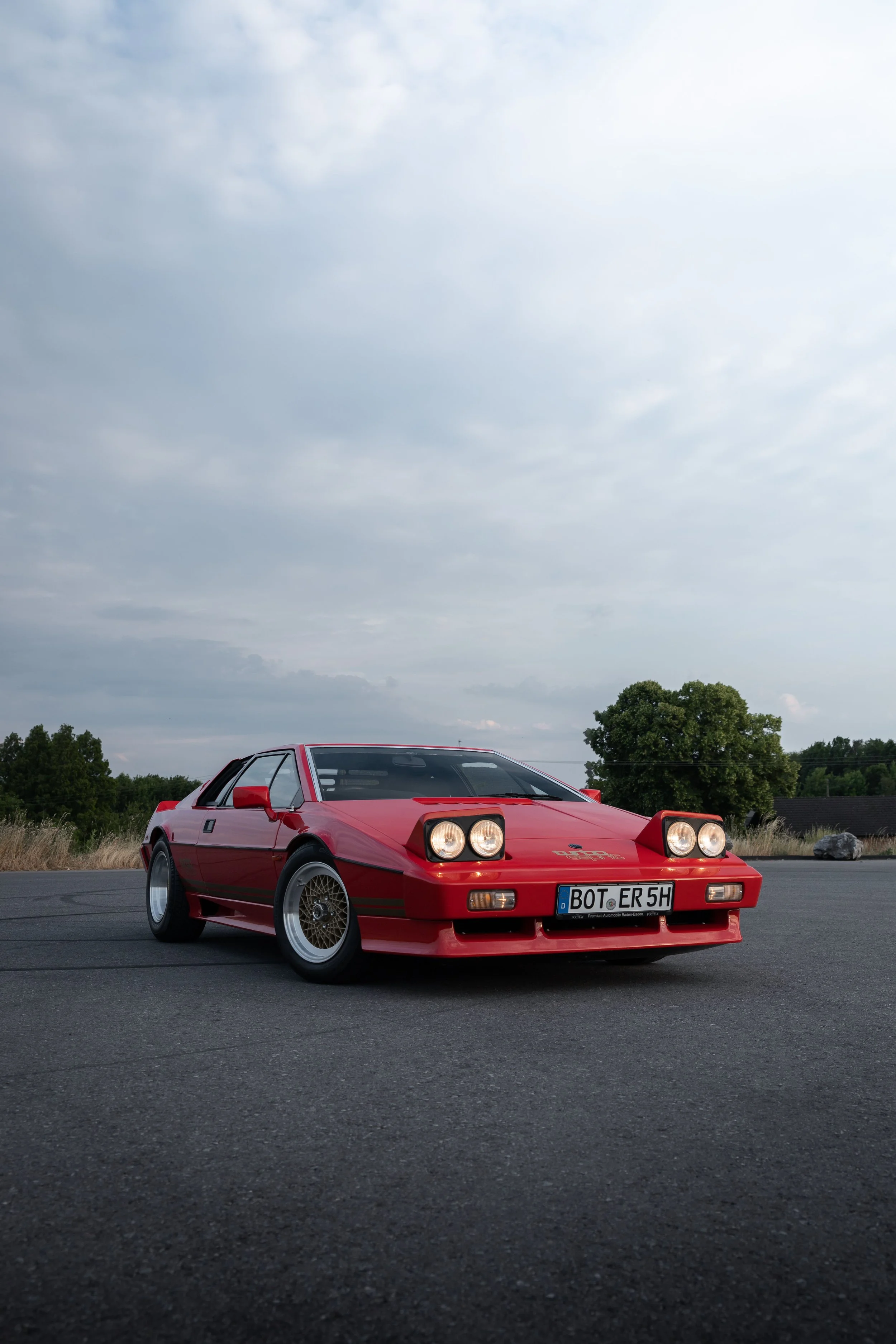 Lotus-25.jpg
