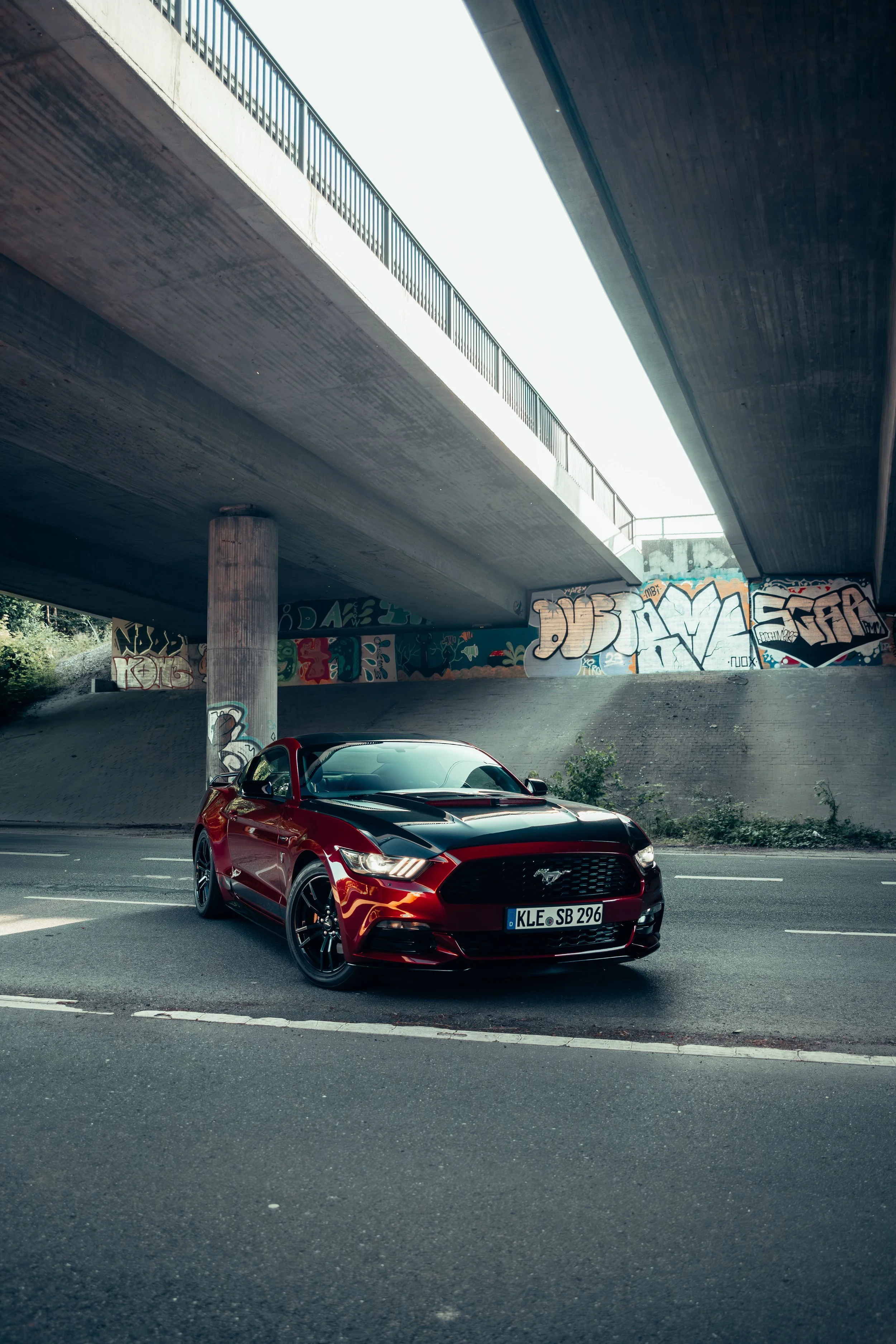 Mustang -18.jpg