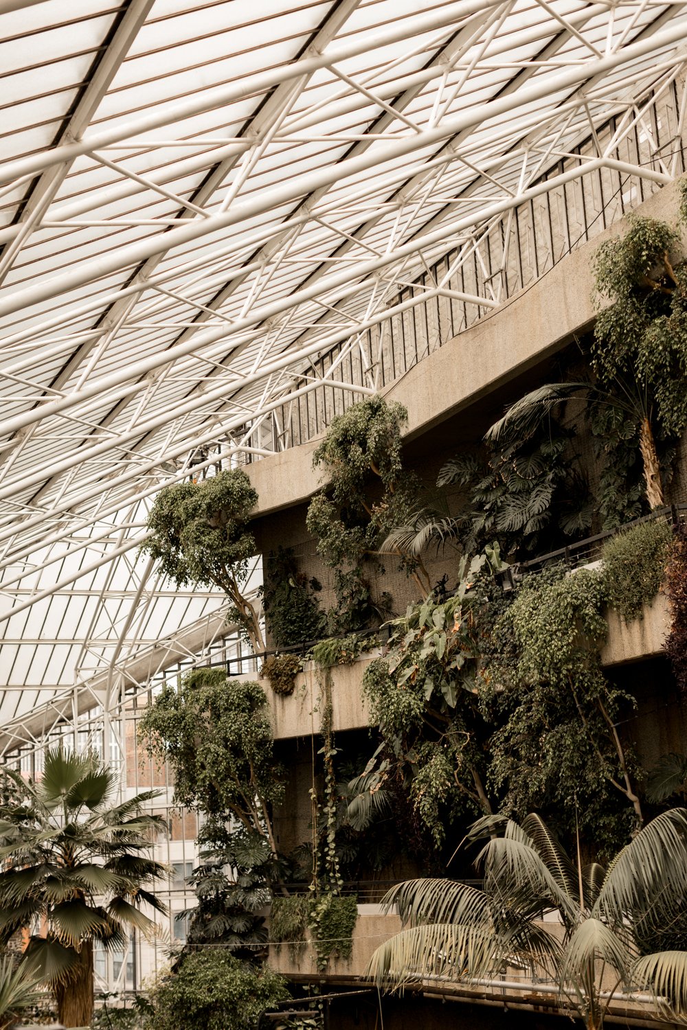 The Barbican Conservatory 