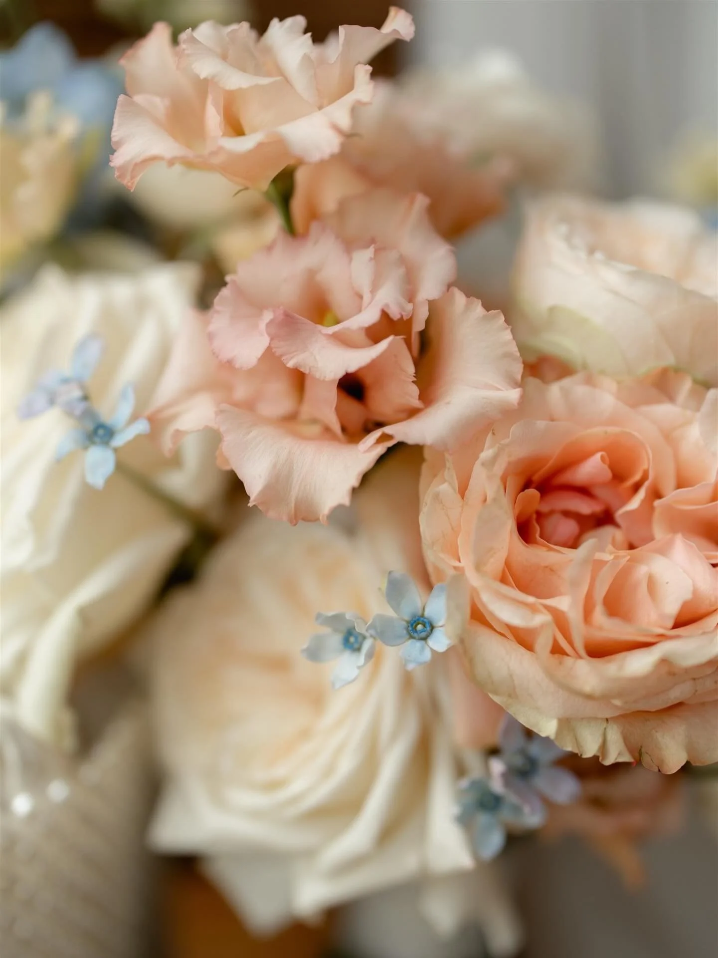 Just a little shout out to the Wedding industry Mums. 

When people invest in a small business, that&rsquo;s created and run by a mother, you&rsquo;re supporting a little ecosystem a little bit like protecting Bees 🐝