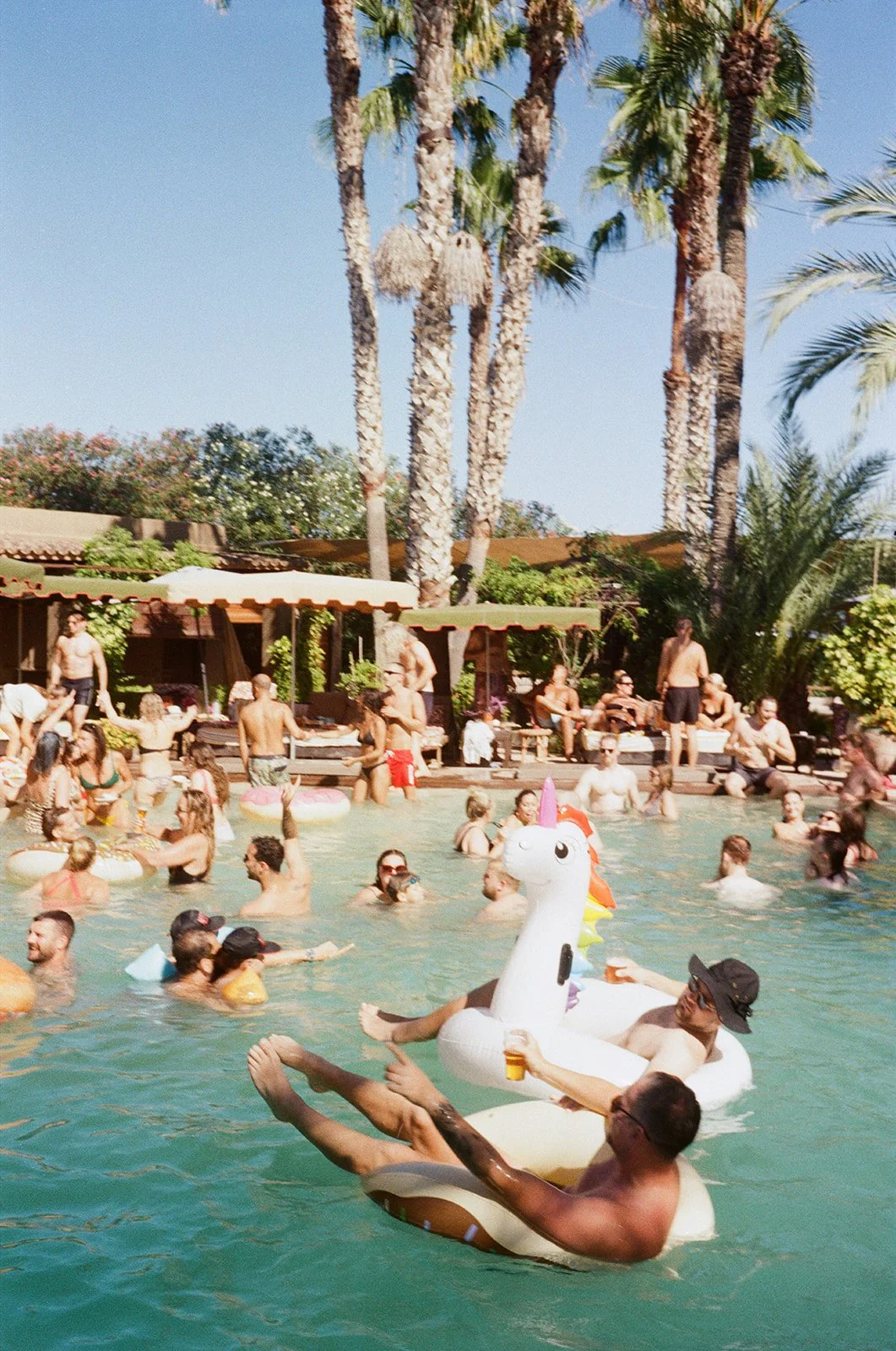 People swimming and relaxing in an outdoor pool surrounded by palm trees and shaded seating areas.