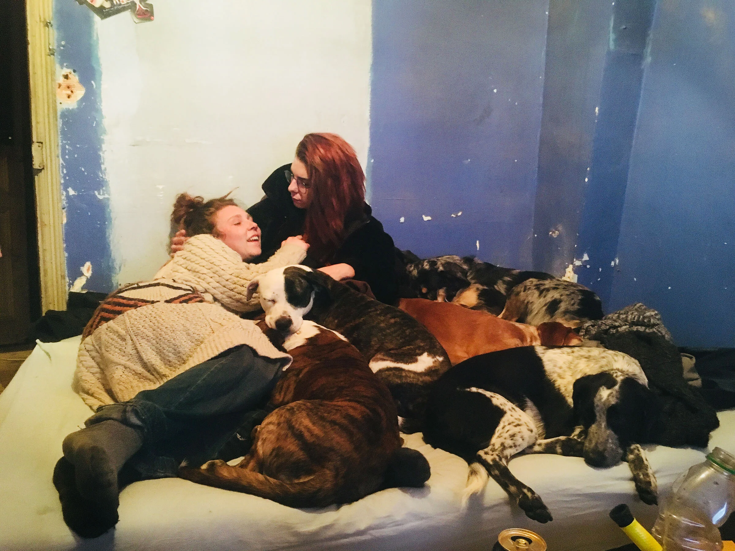 Tas de chiens, tas d'amour