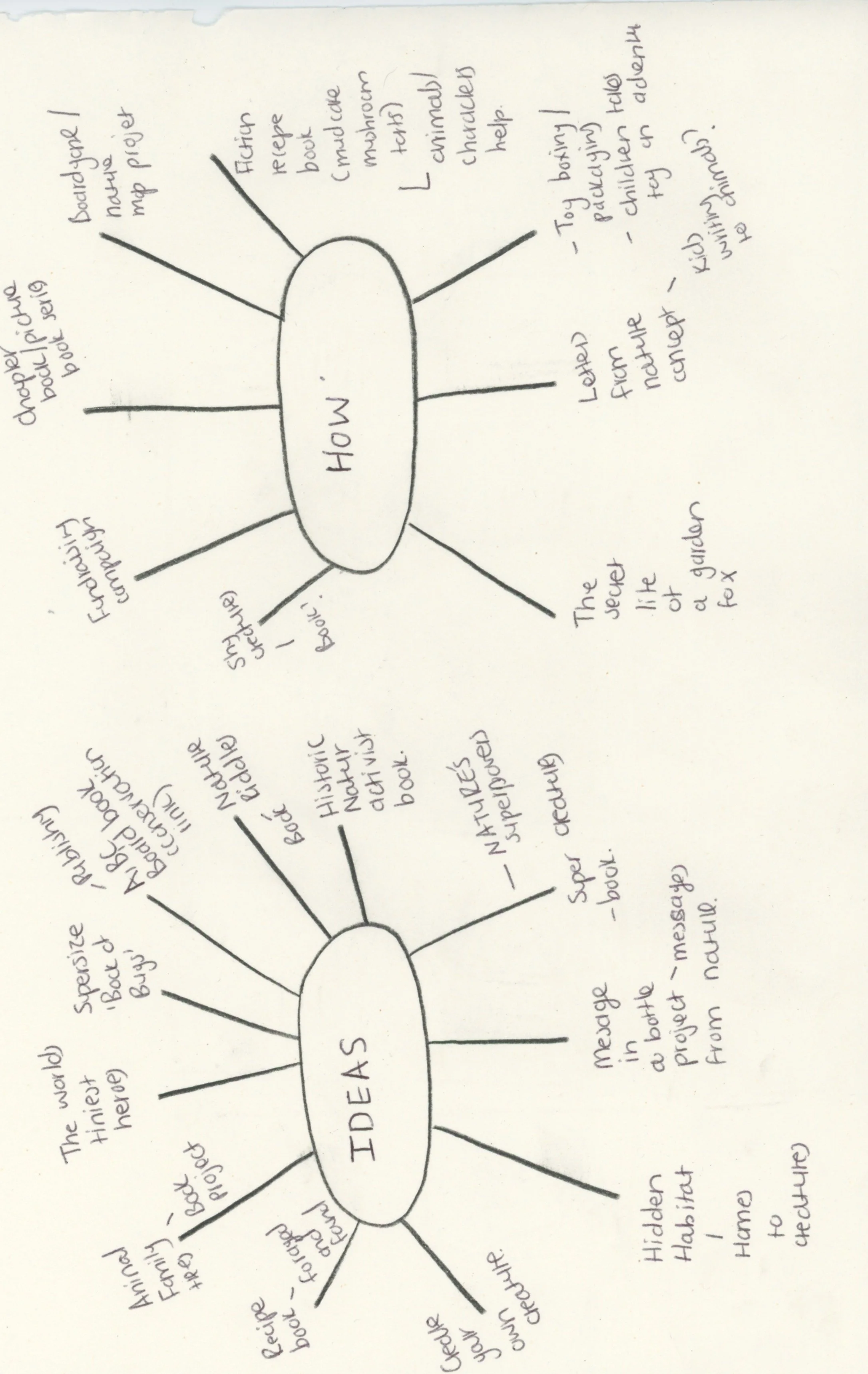 Serfontein_Pine Martin Scan 1.jpeg