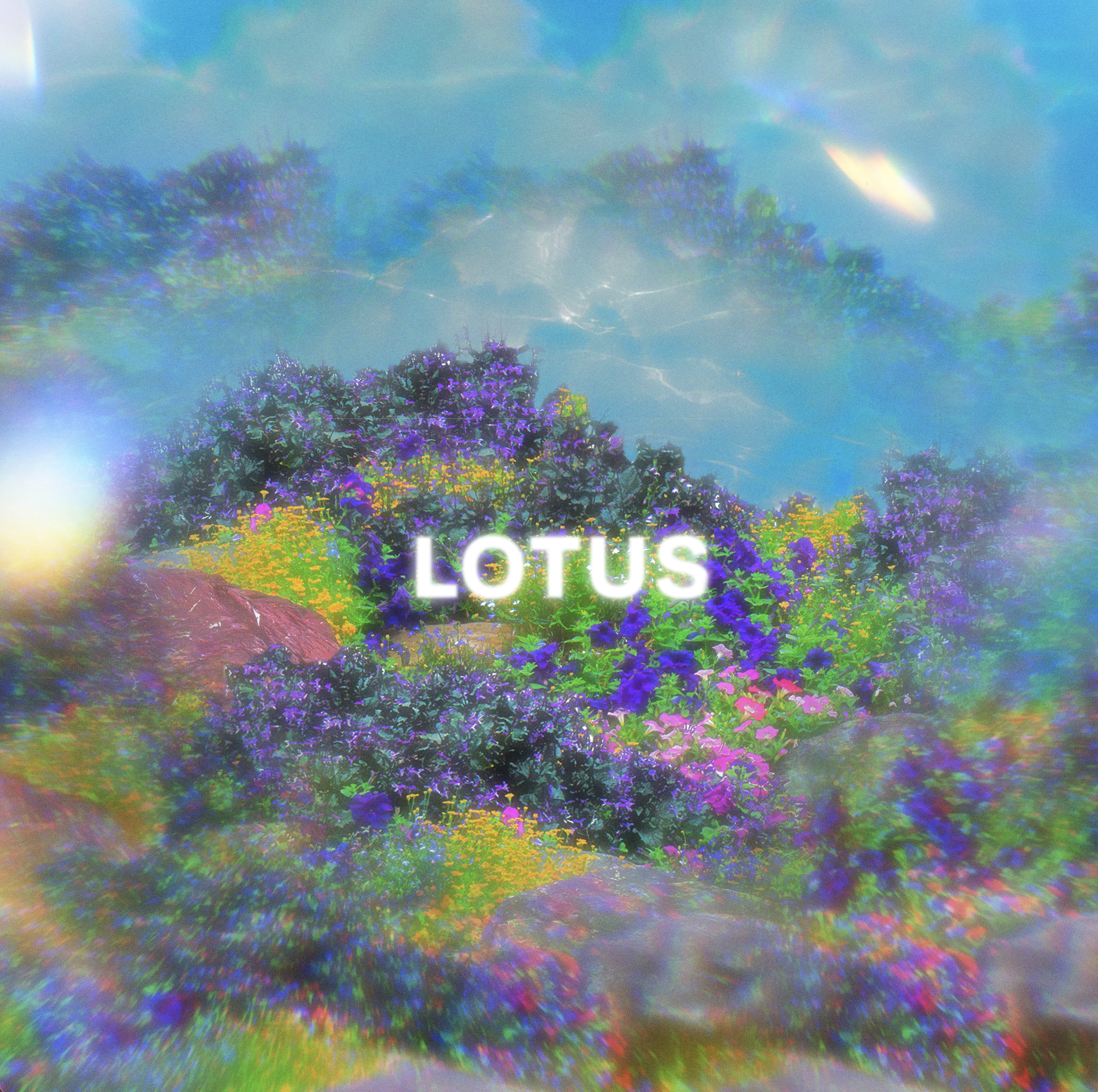 Lotus