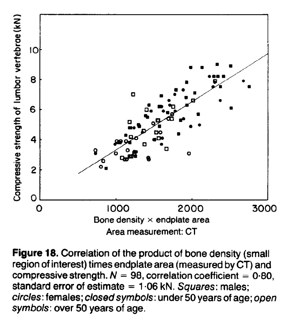 Spine Compression Basics — Laevo Exoskeletons