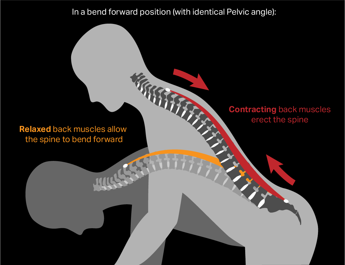 Axilla Compression Back Spine Compression Basics — Laevo Exoskeletons