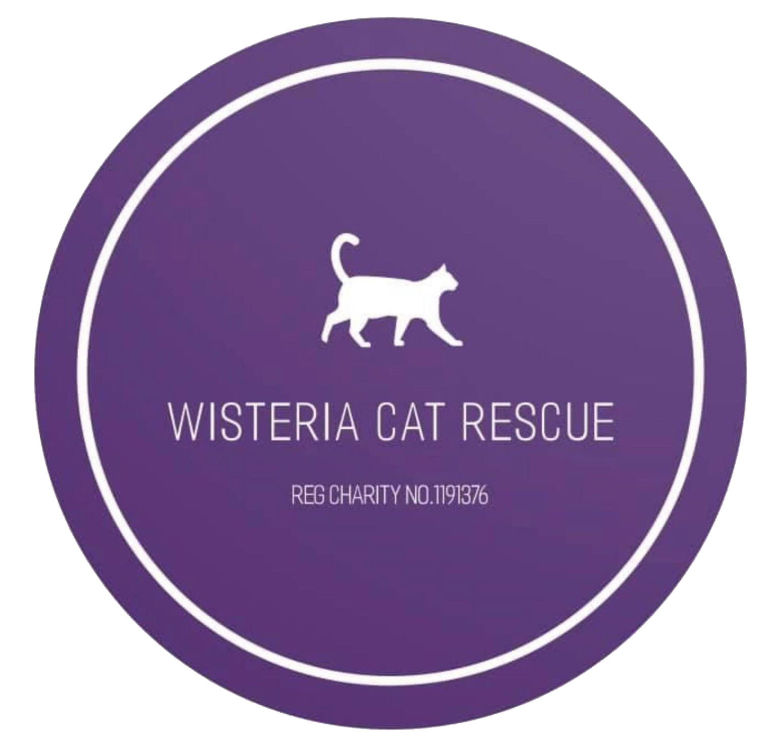 Wisteria Cat Rescue