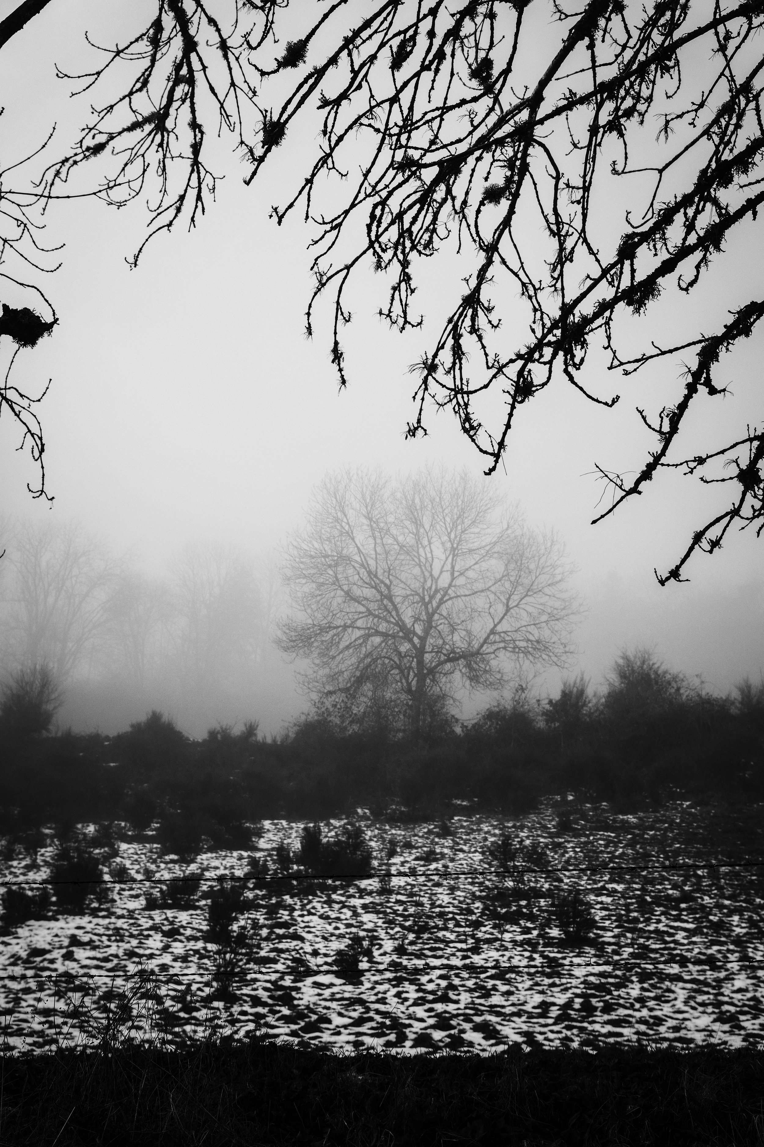 DSCF7989.jpg