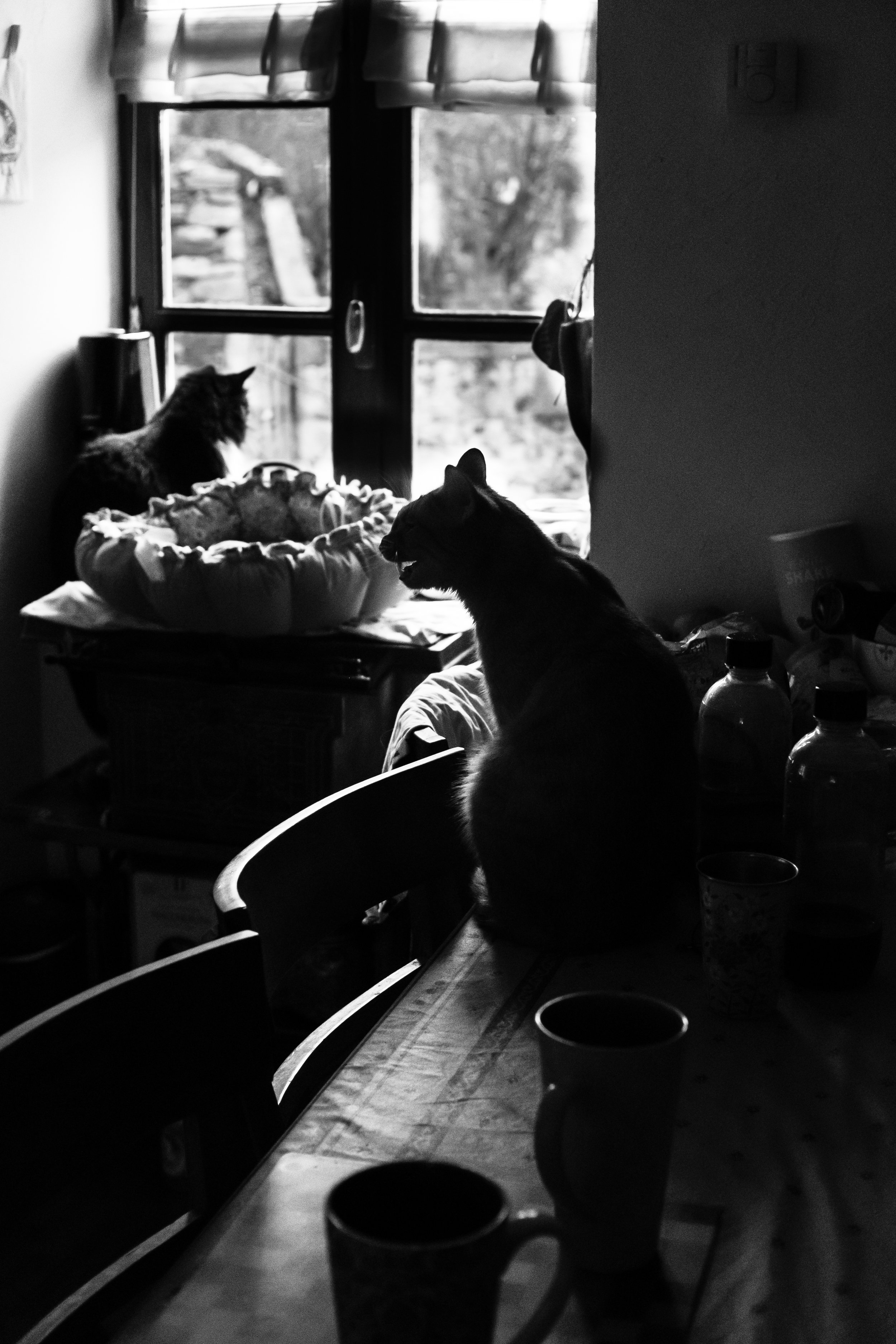 DSCF0336.jpg