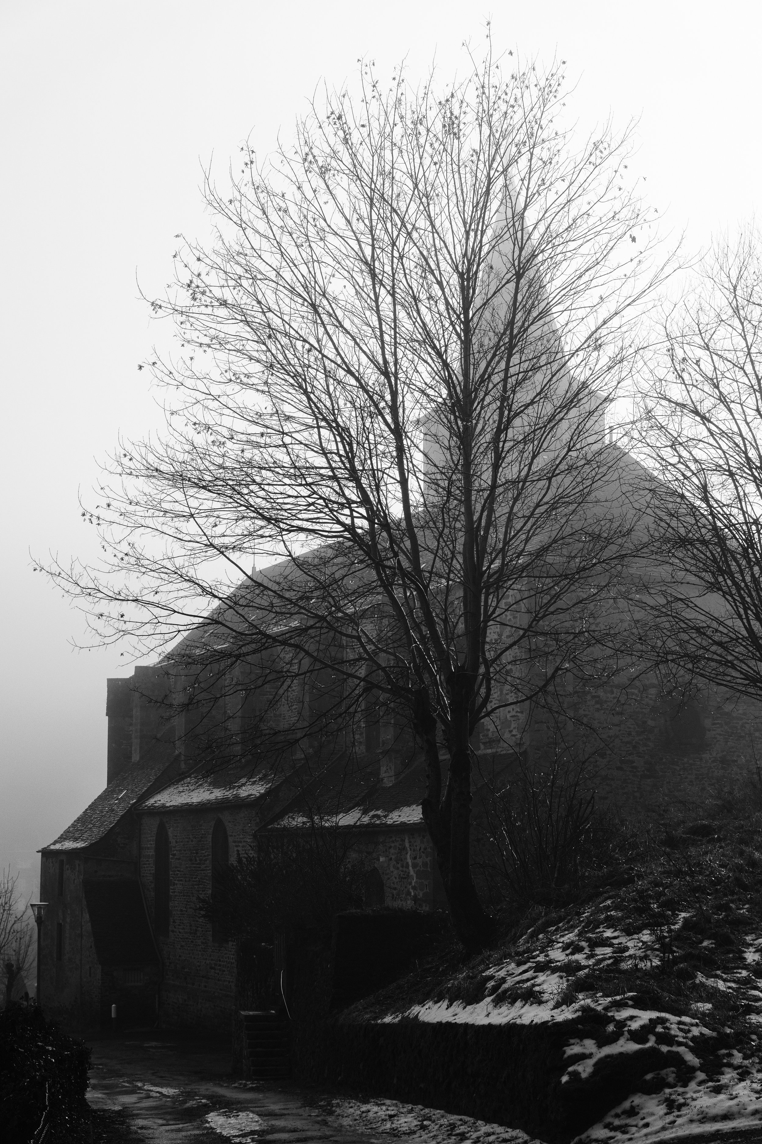 DSCF7985.jpg