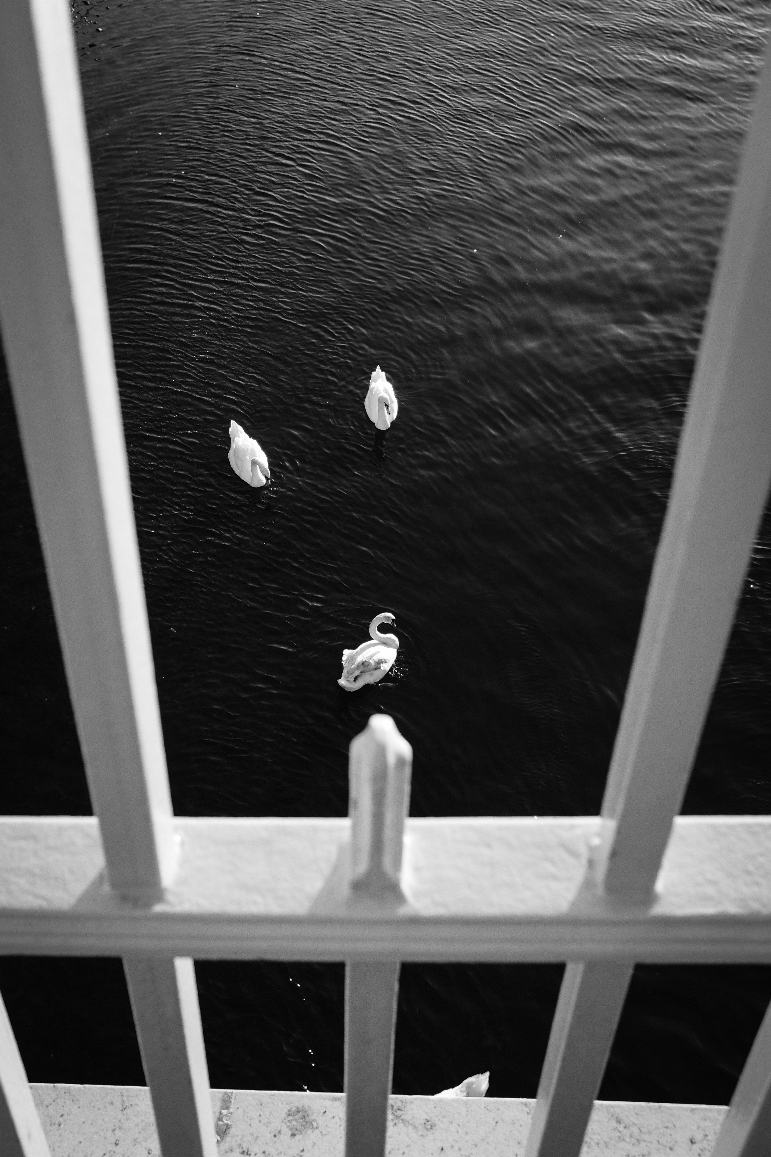 DSCF9151.jpg