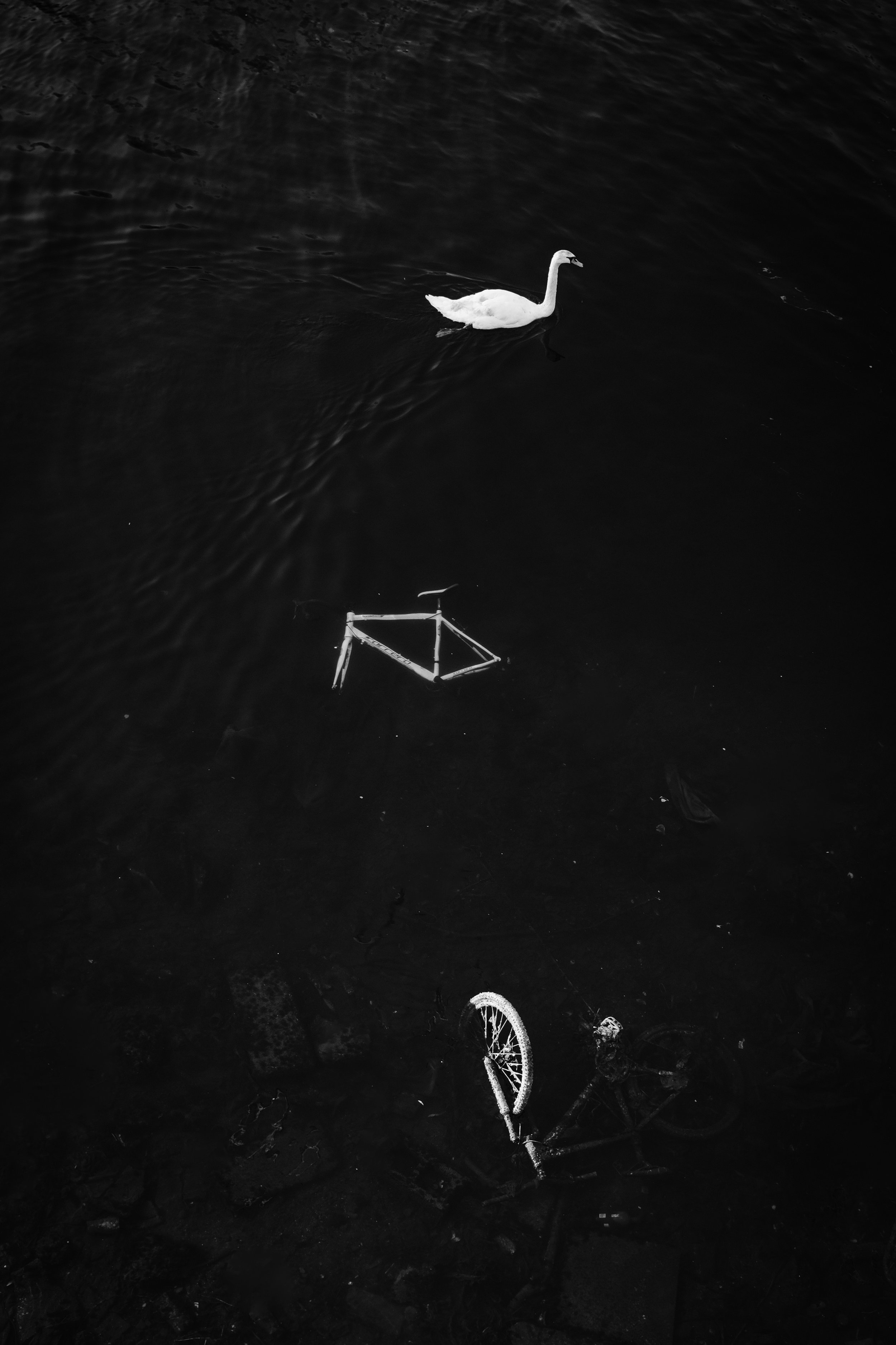 DSCF9199.jpg