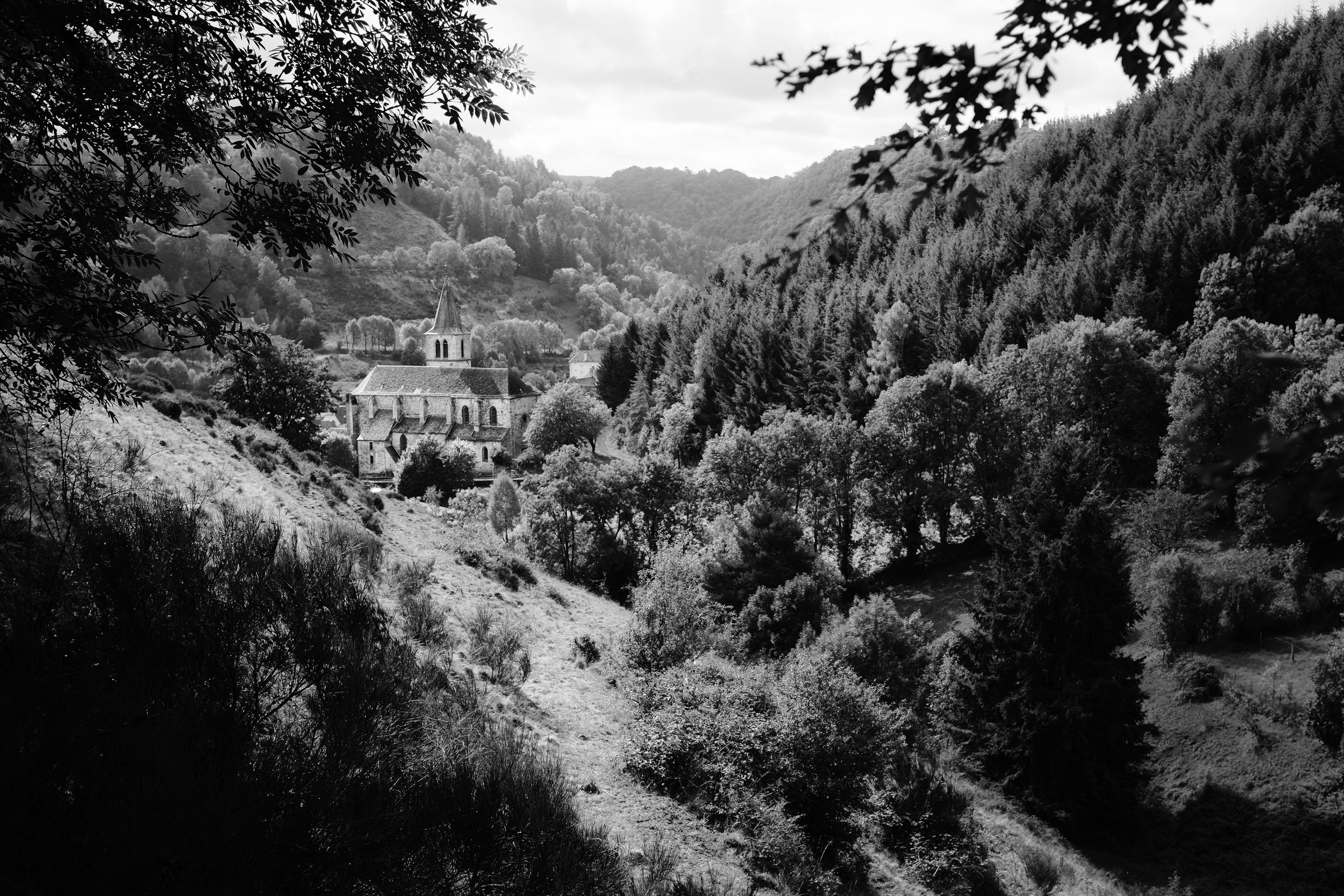 DSCF6851.jpg