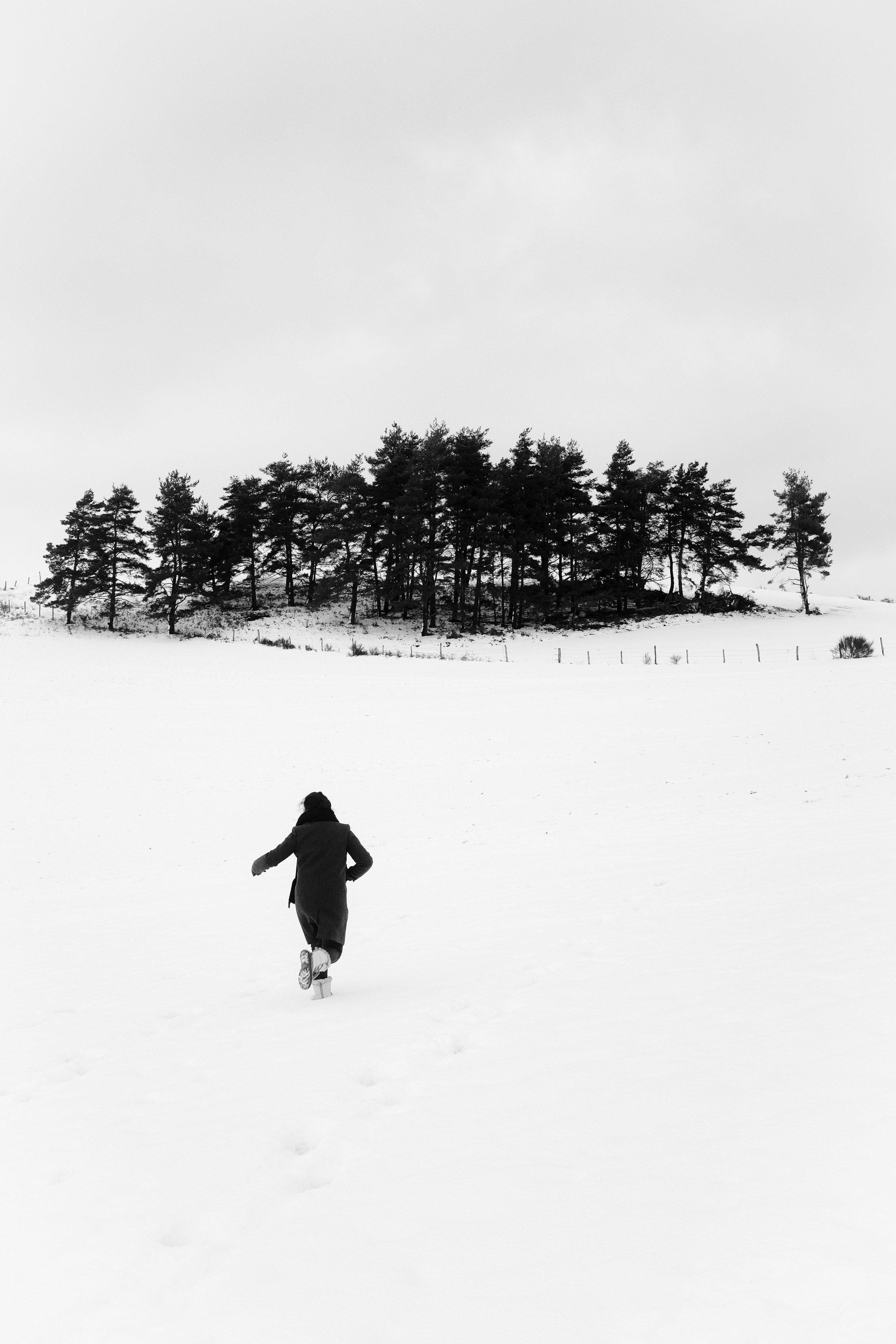 DSCF3446-Edit.jpg