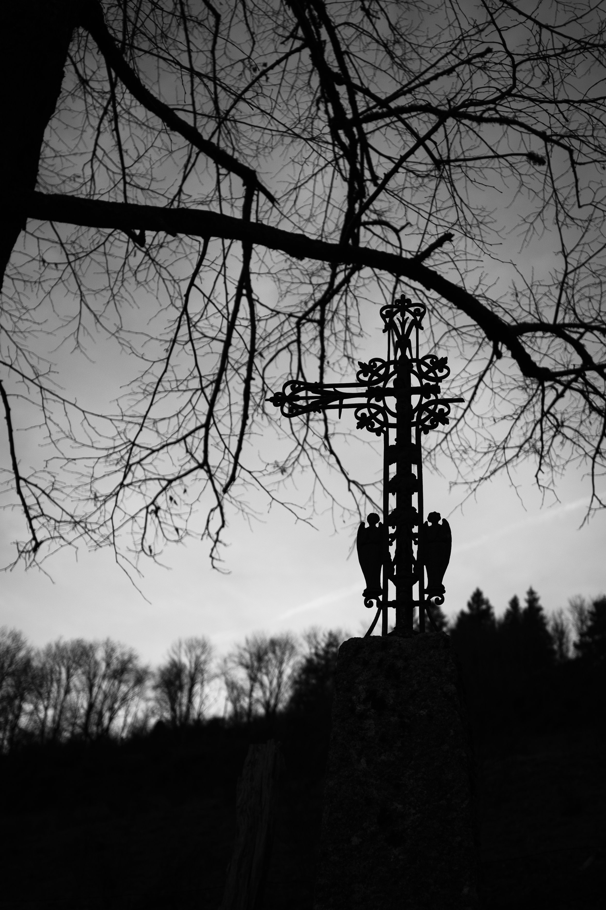 DSCF9930.jpg