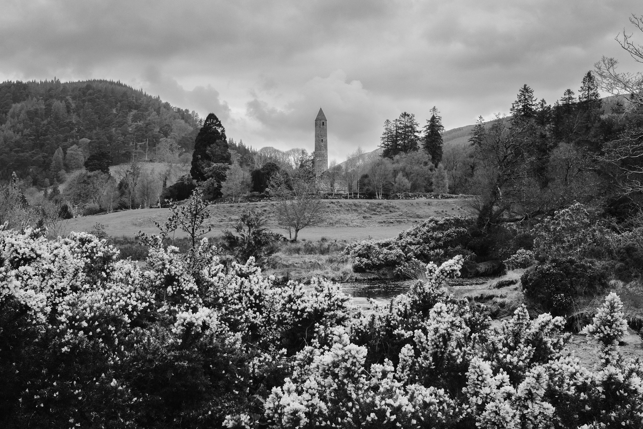 DSCF0149.jpg