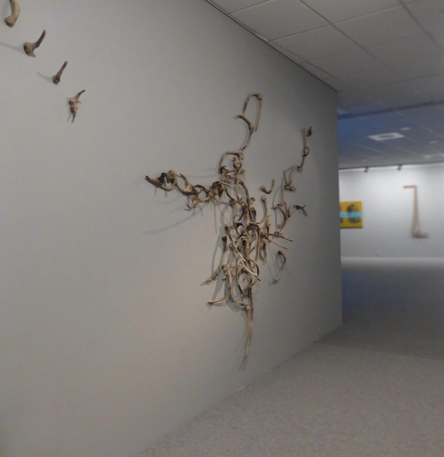 fragile egsistense.jpg