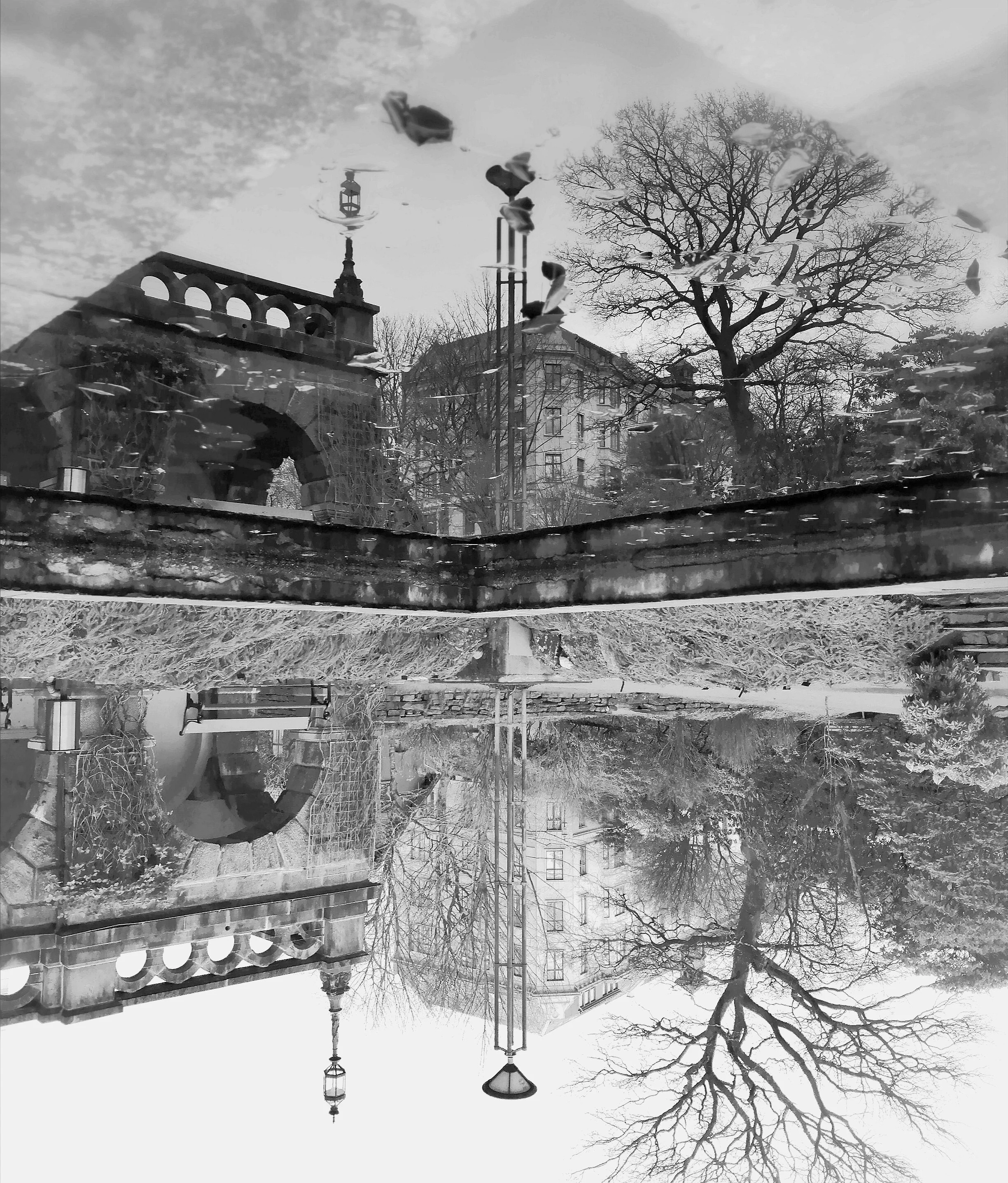 bnwbotanisk2.jpg