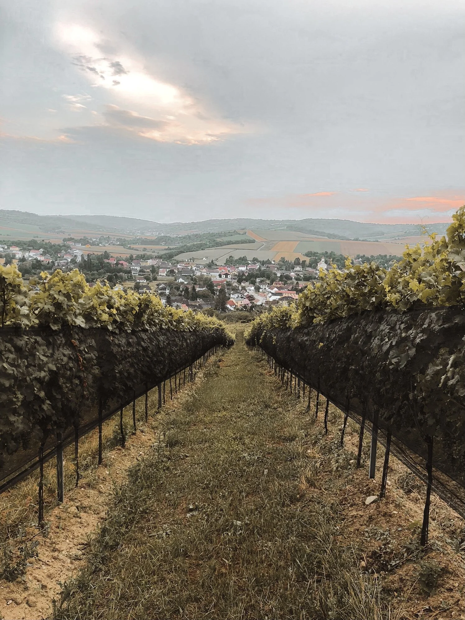 Con el tiempo.&nbsp;&nbsp;