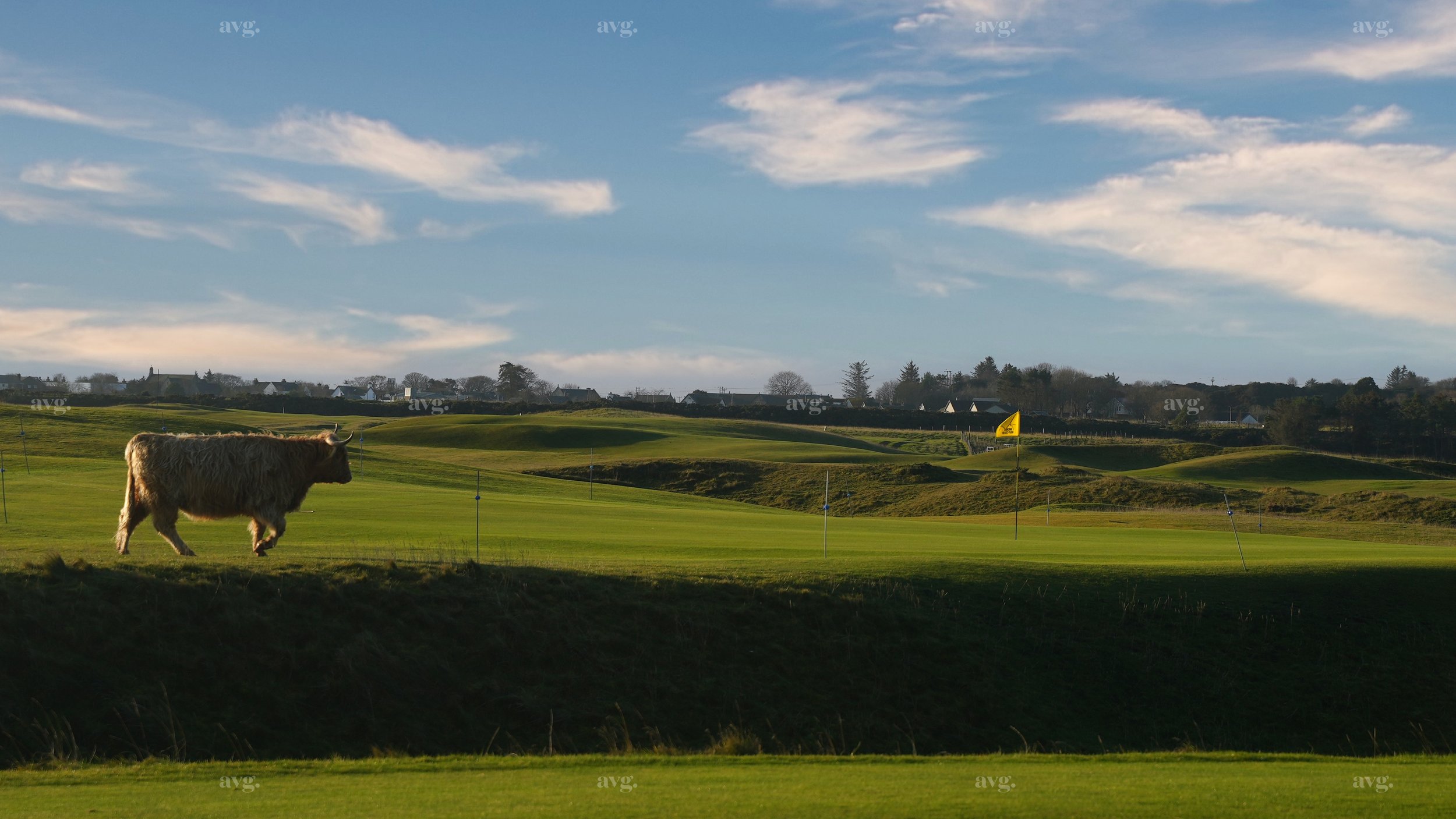 Brora 6.jpeg