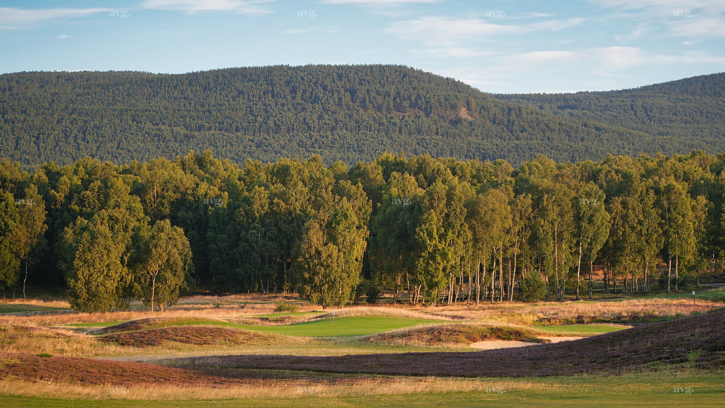 Spey Valley 2.jpeg