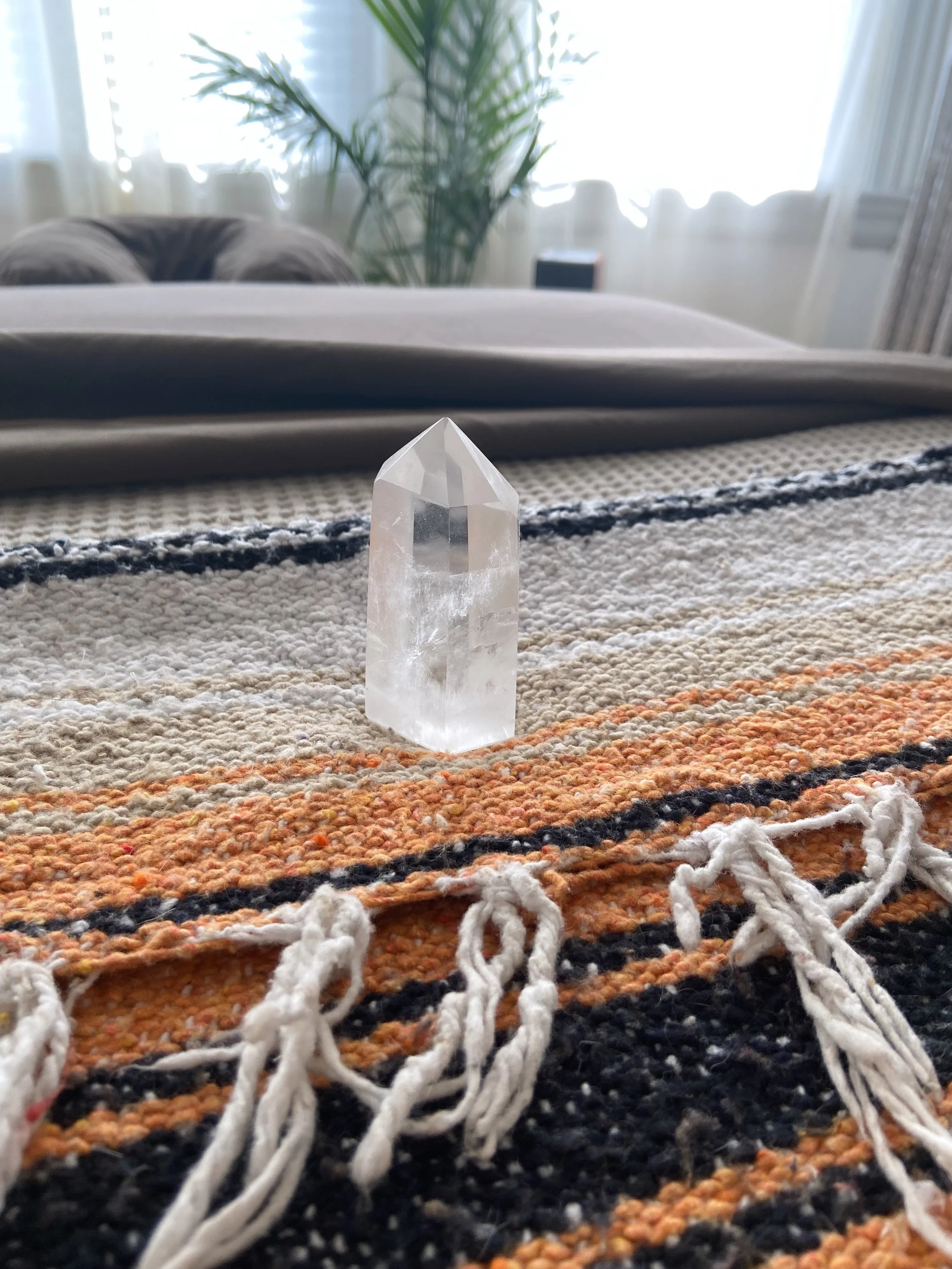 ~ come soften, exhale, and let yourself be cared for for a little while ⚘

#brunswickmaine #midcoastmaine #energywork #mainemassage #facialmassage