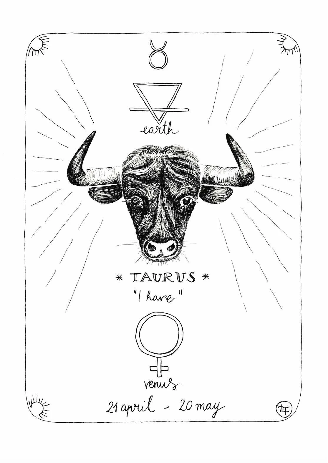 Taurus – ink drawing
