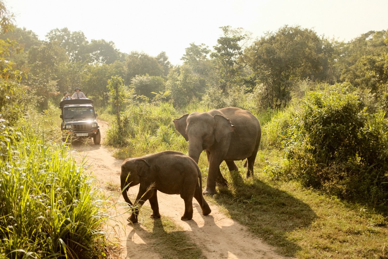 SRI LANKA-75.jpg