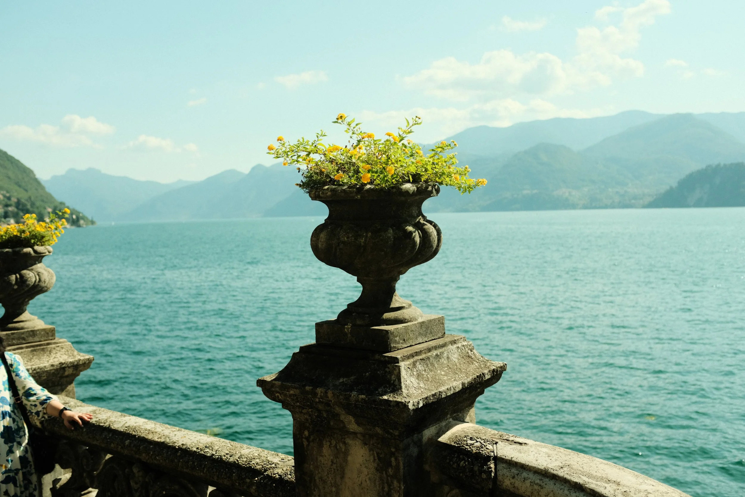 DSCF6135.jpg