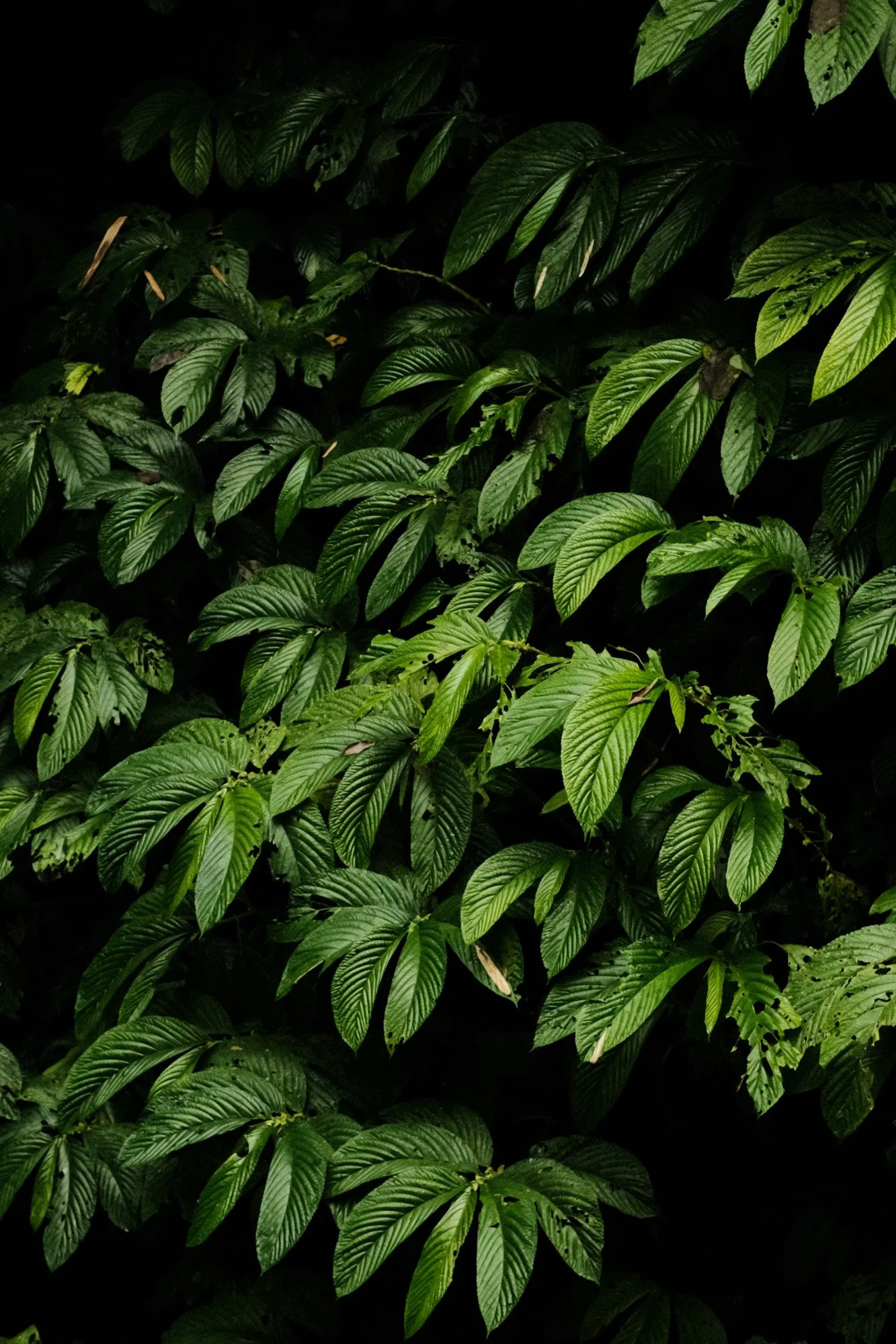 DSCF9200.jpg