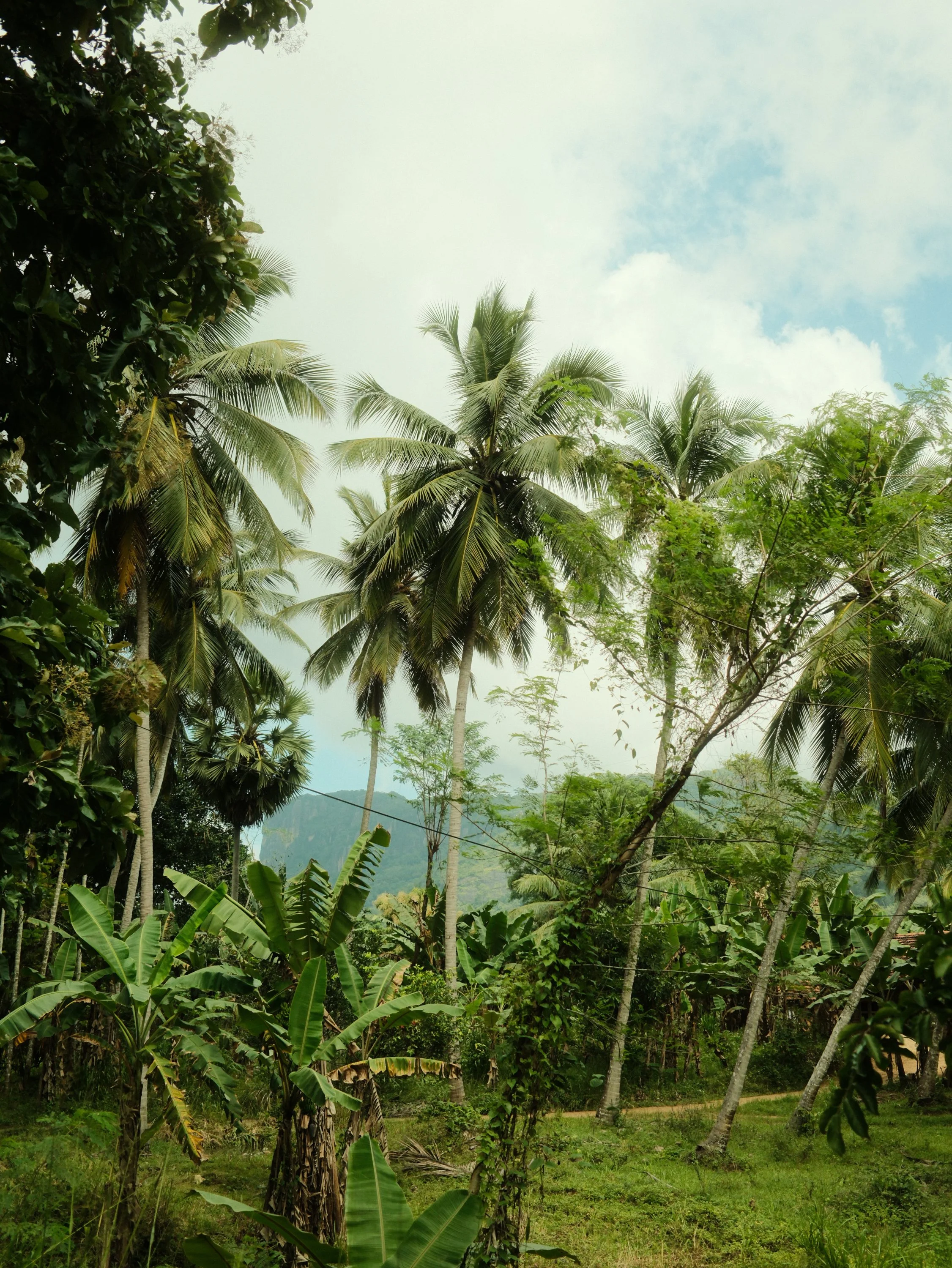 SRI LANKA-80.jpg