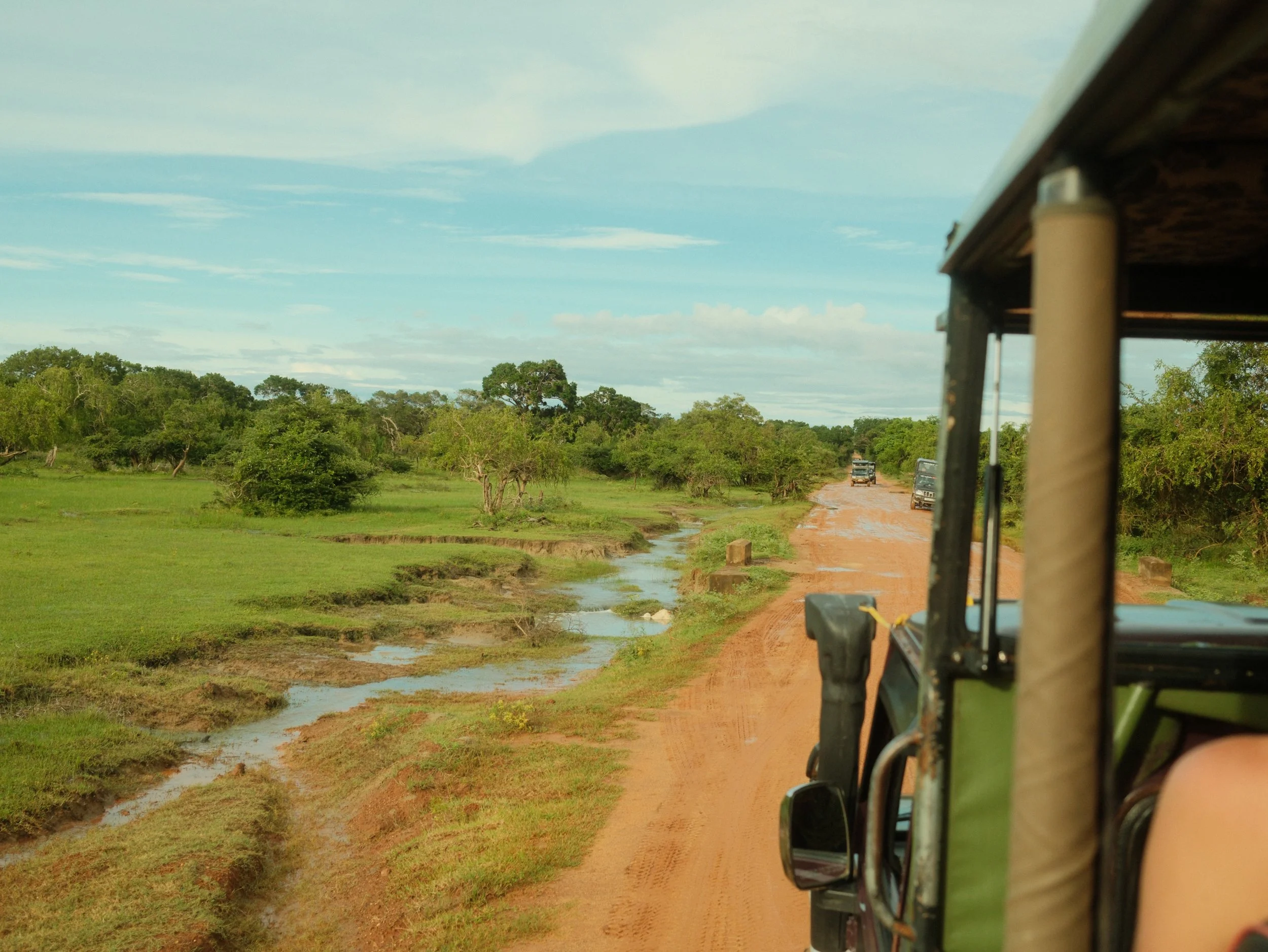 SRI LANKA-115.jpg