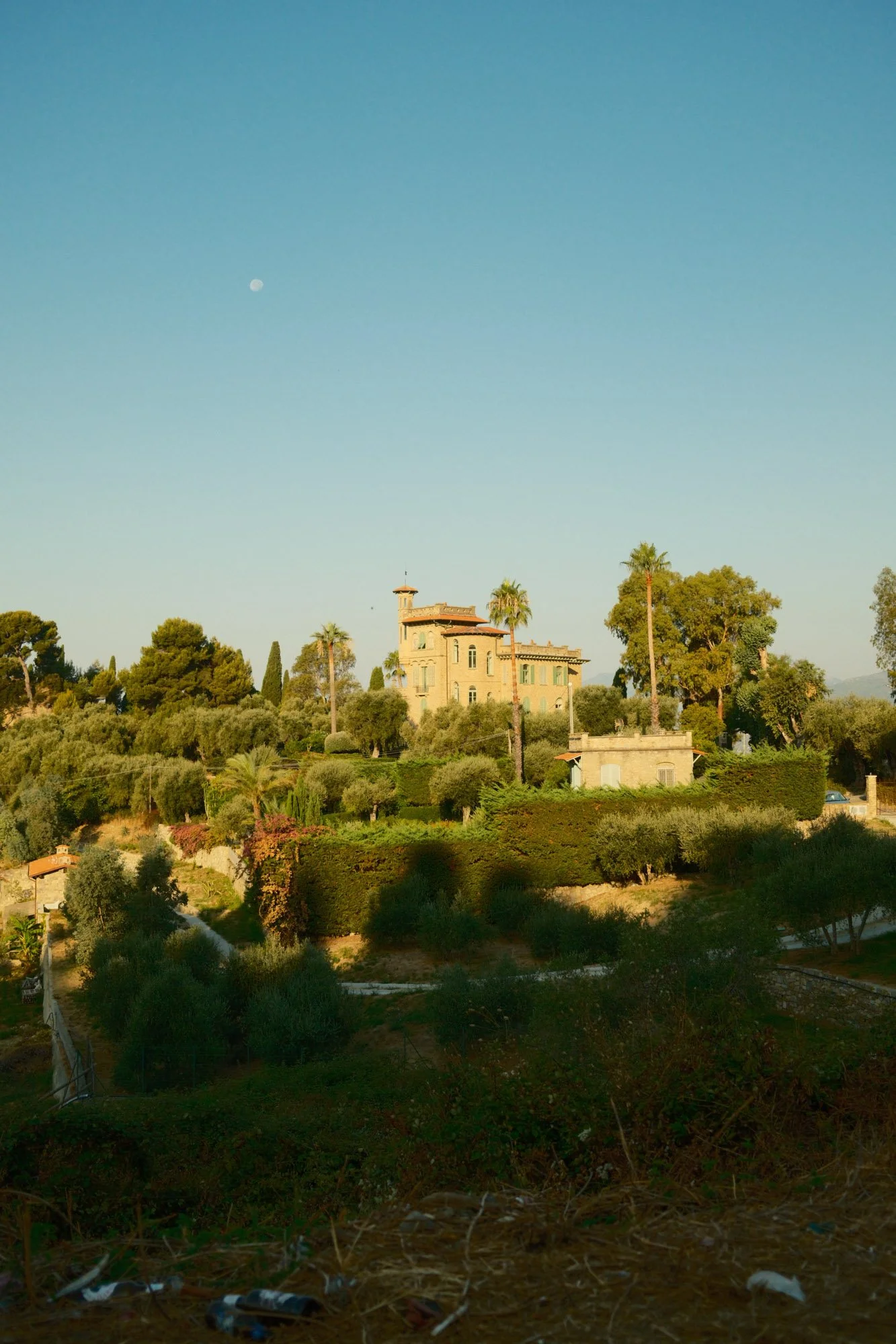 DSCF0919.jpg
