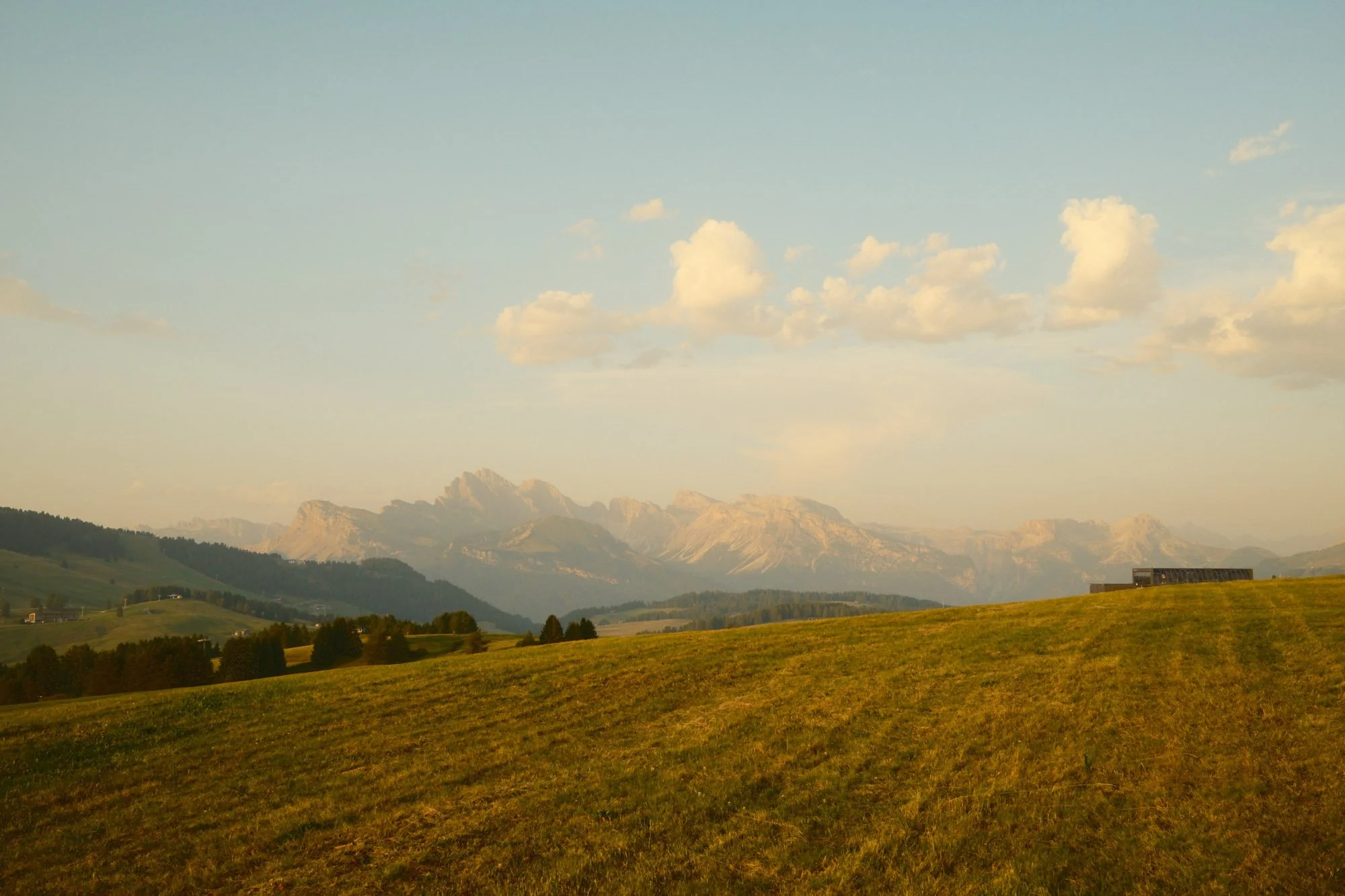 DSCF1144.jpg