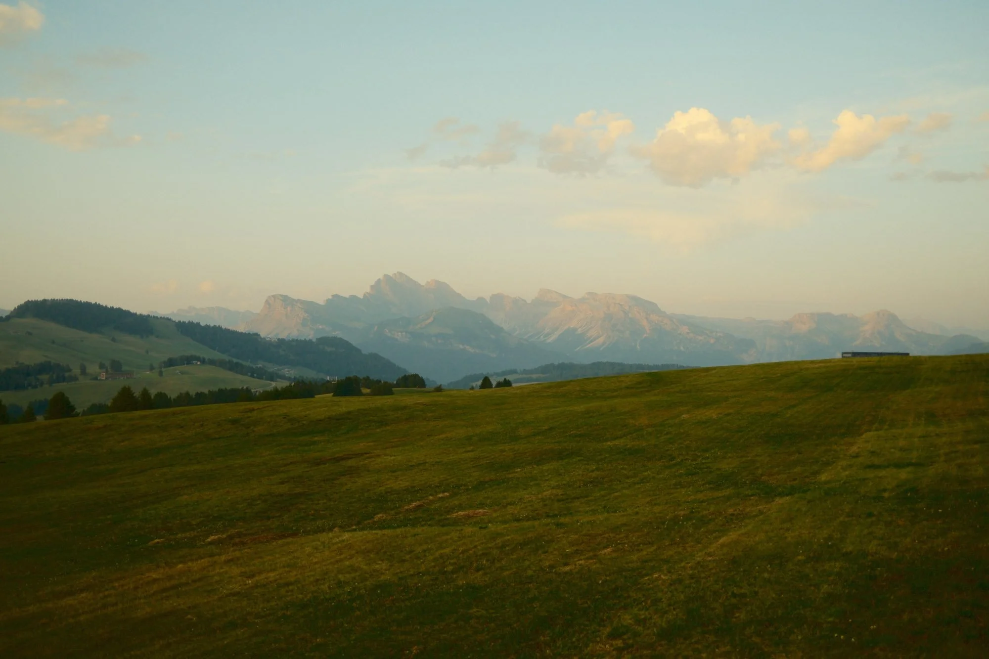 DSCF1161.jpg
