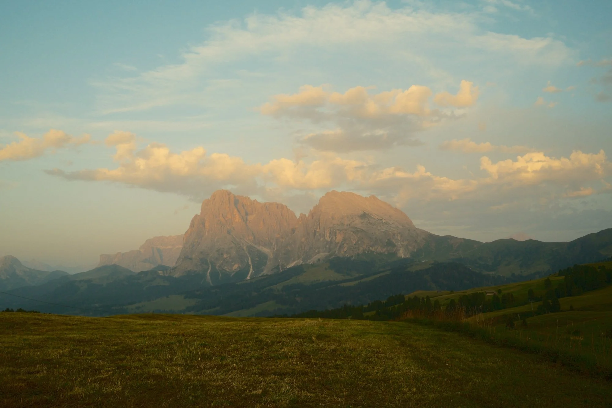 DSCF1171.jpg
