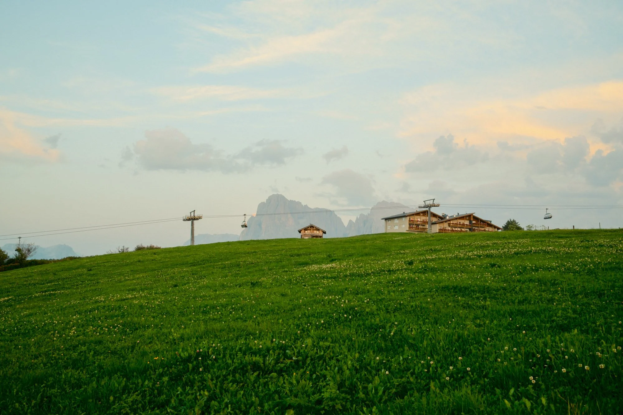 DSCF1187.jpg